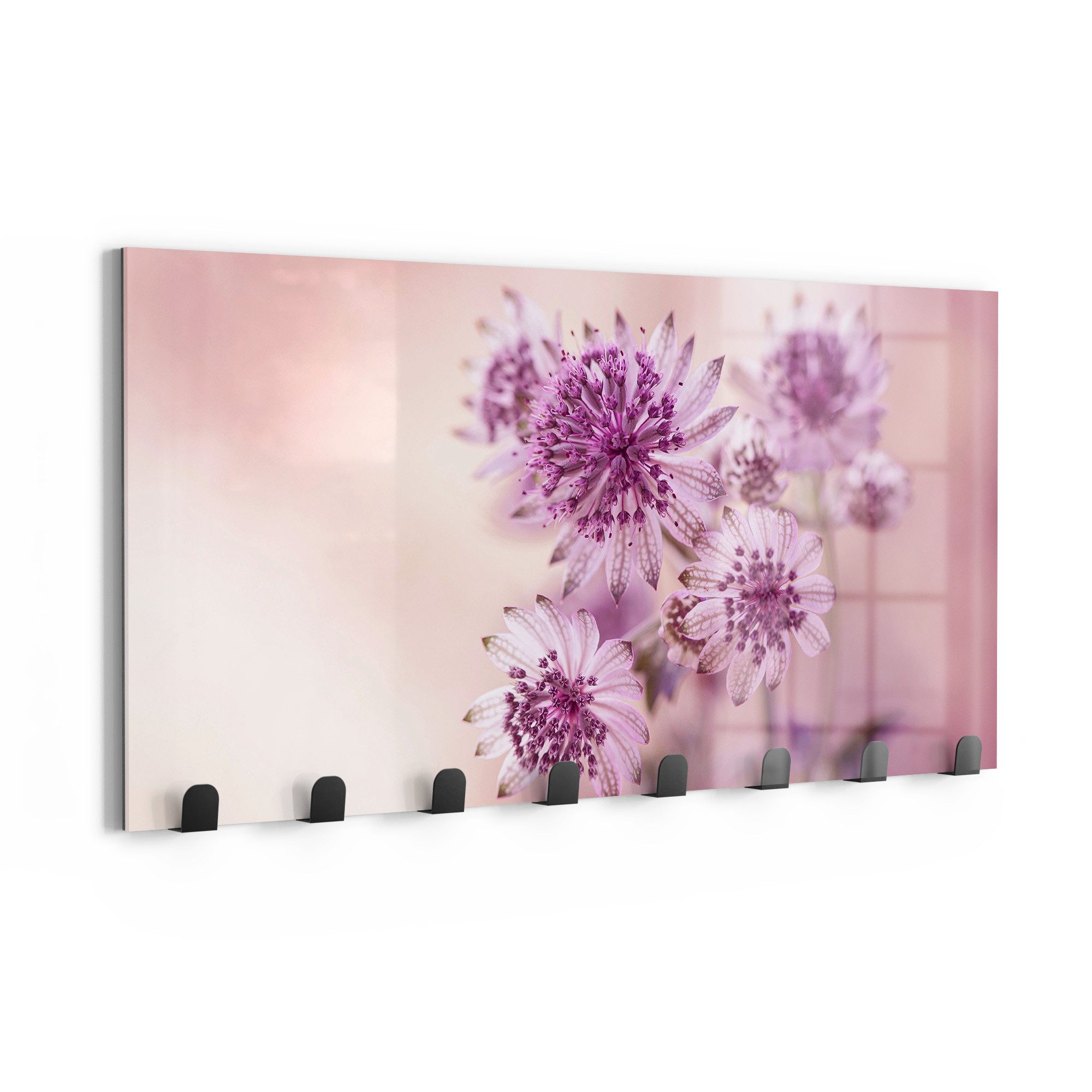 DEQORI Гачок для одягу 'Lila Sterndolden', Glas Garderobe Paneel magnetisch beschreibbar