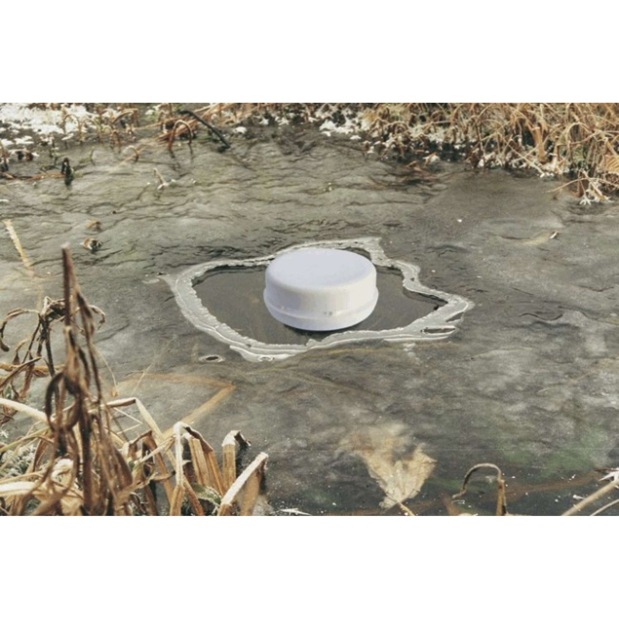 Pontec Teichbelüfter Pontec Pondopolar Eisfreihalter