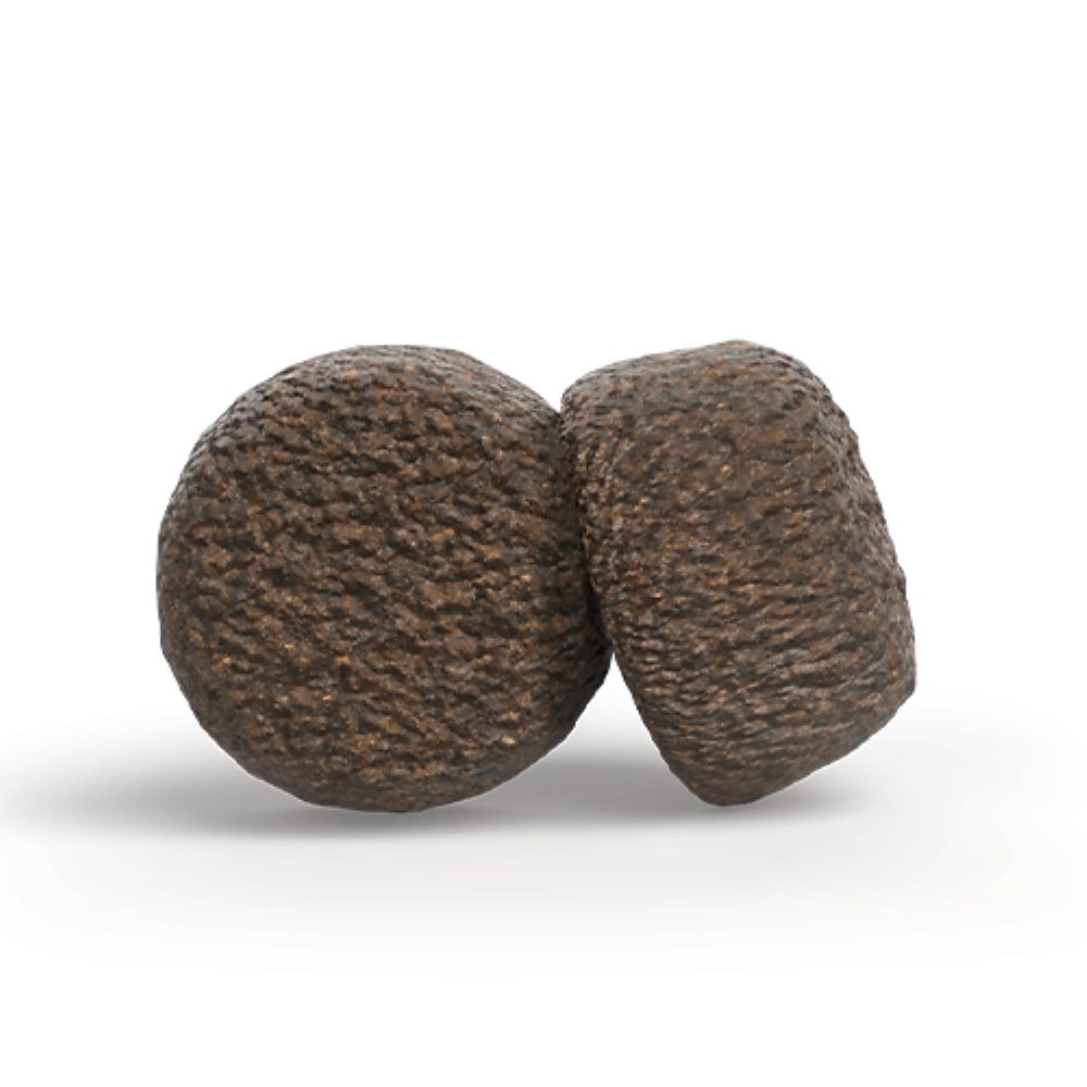 Josera Lamm & Reis, Trockenfutter für: Hunde, Adult All Size, für ausgewachsene Hunde aller Größen – Bild 4 von 4