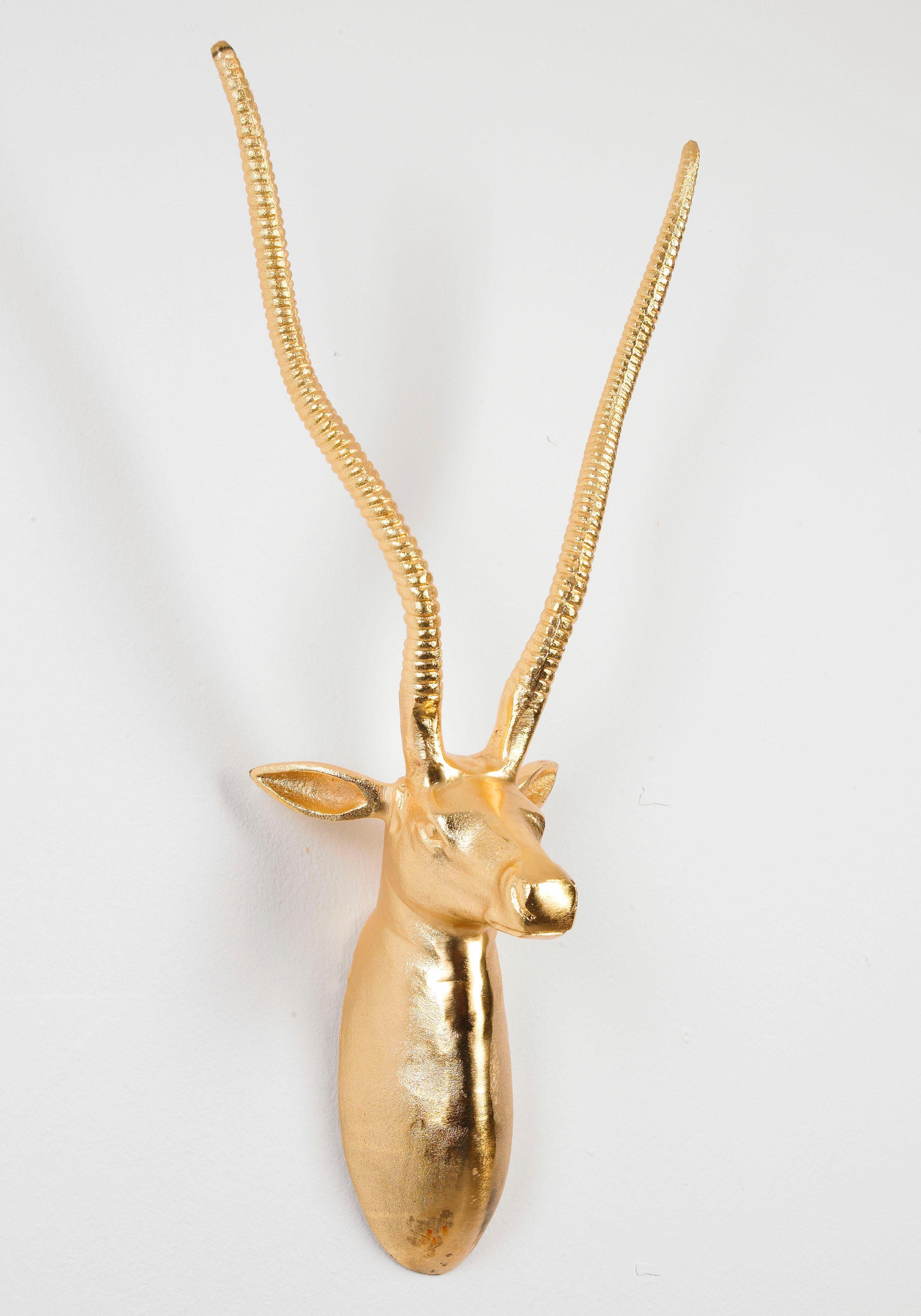 Wanddeko »Deko Geweih Antilope« Wanddeko »Deko Geweih Antilope«