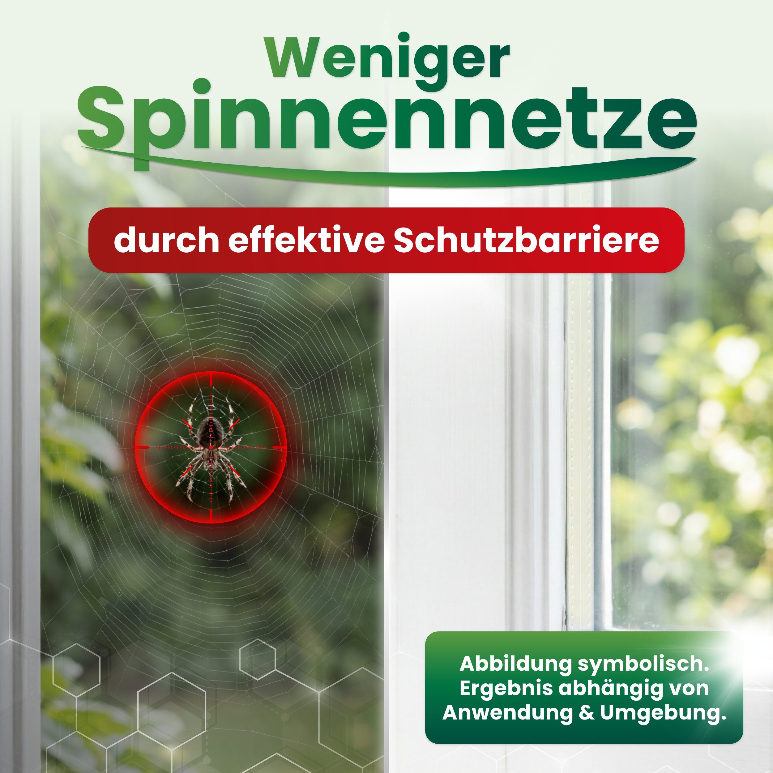 Repellion Insektenspray Spinnenspray, Mittel gegen Spinnen, Abwehrspray mit Fernhaltewirkung, 500 ml, wirkt in Minuten, Innen & Außen, Fenster & Balkon, Made in – Bild 4 von 5