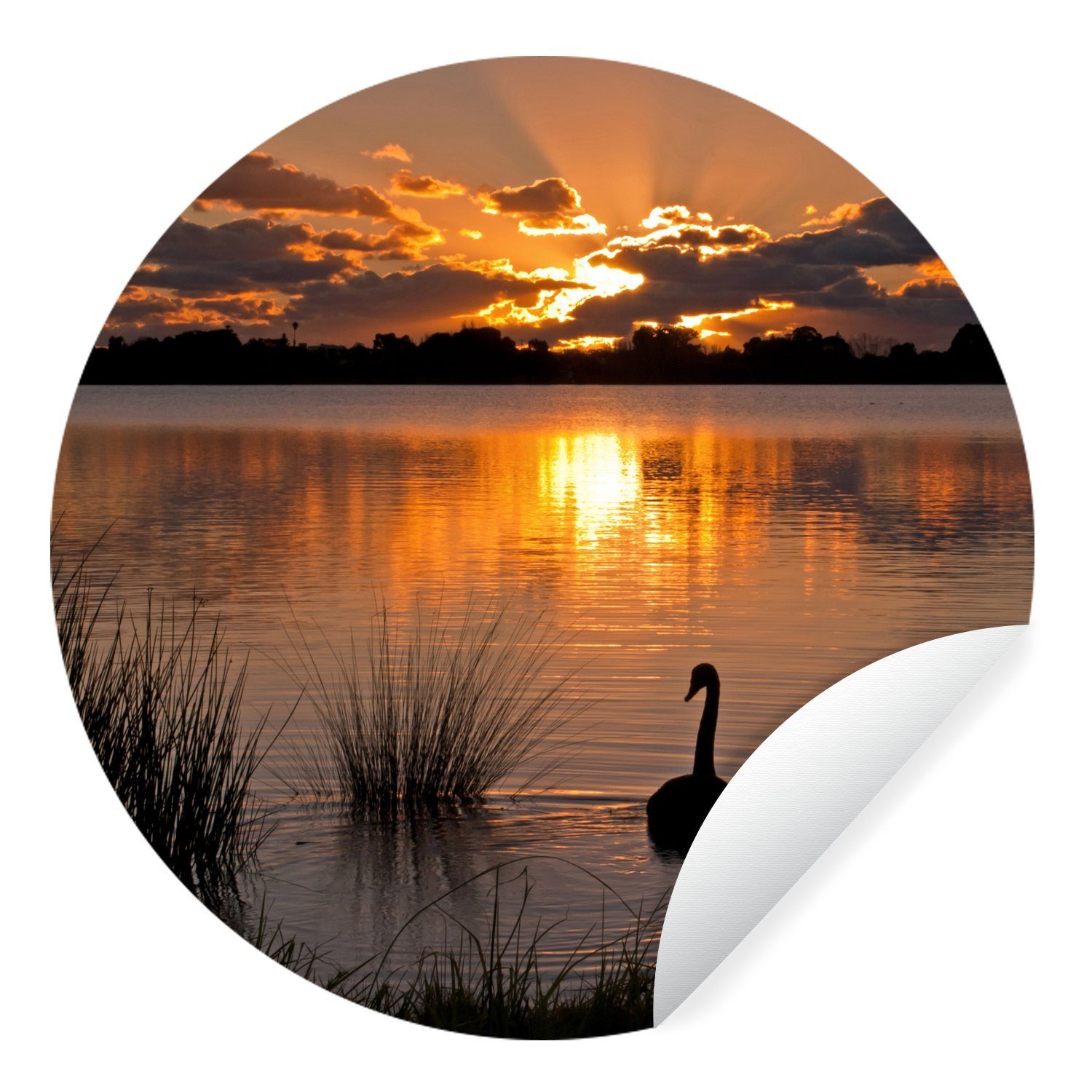 Wandsticker St), Sonnenuntergang (1 Wasser - MuchoWow Schwan - für Tapetenkreis Rund, Kinderzimmer, Wohnzimmer Tapetenaufkleber,