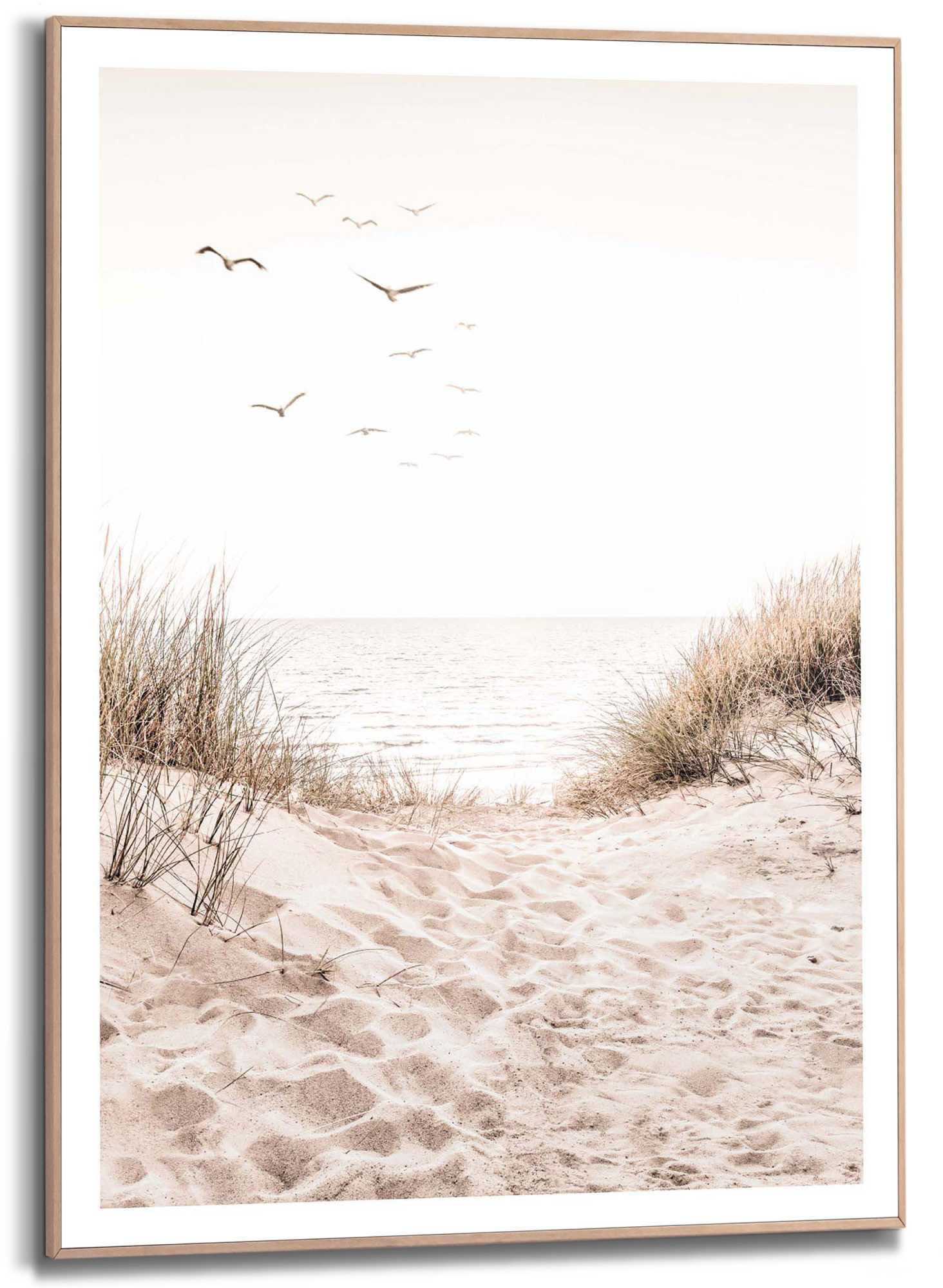 Reinders! Kunstdruck Dünen günstig online kaufen