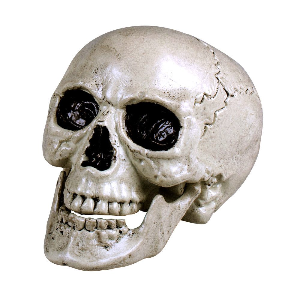 Boland Dekoobjekt Totenkopf Schädel 'Maxilla' beweglich - 17 x 17 x