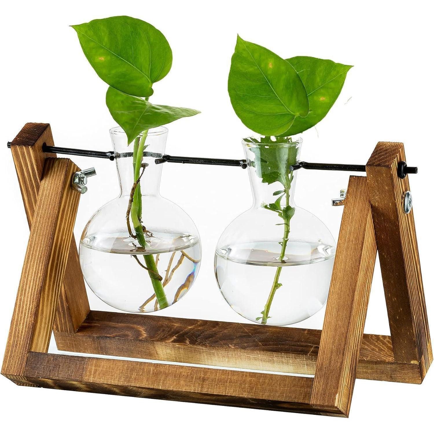 LuxusKollektion Tischvase Vermehrungsstation Pflanzen Upgrade Zwiebel Vase Holzständer Glas