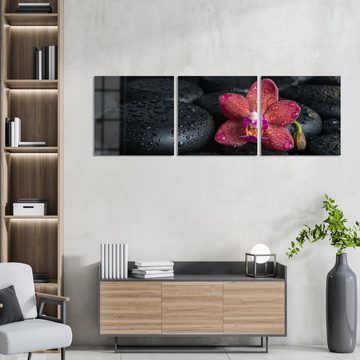 DEQORI Glasbild 'Blüte und Steine benetzt', 'Blüte und Steine benetzt', Glas Wandbild Bild schwebend modern