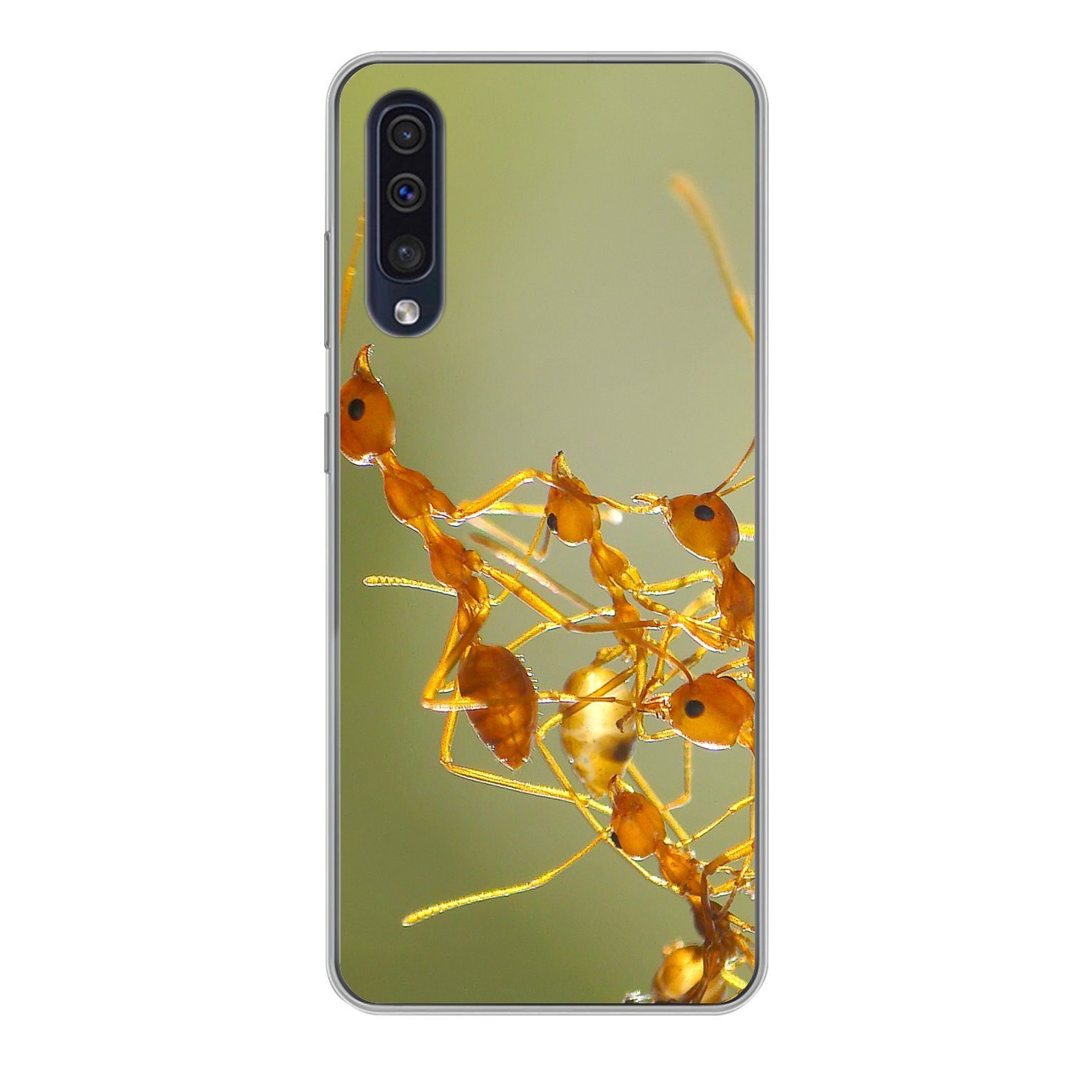 Handyhülle für Samsung Galaxy A50 Ameisen - Orange - Tiere