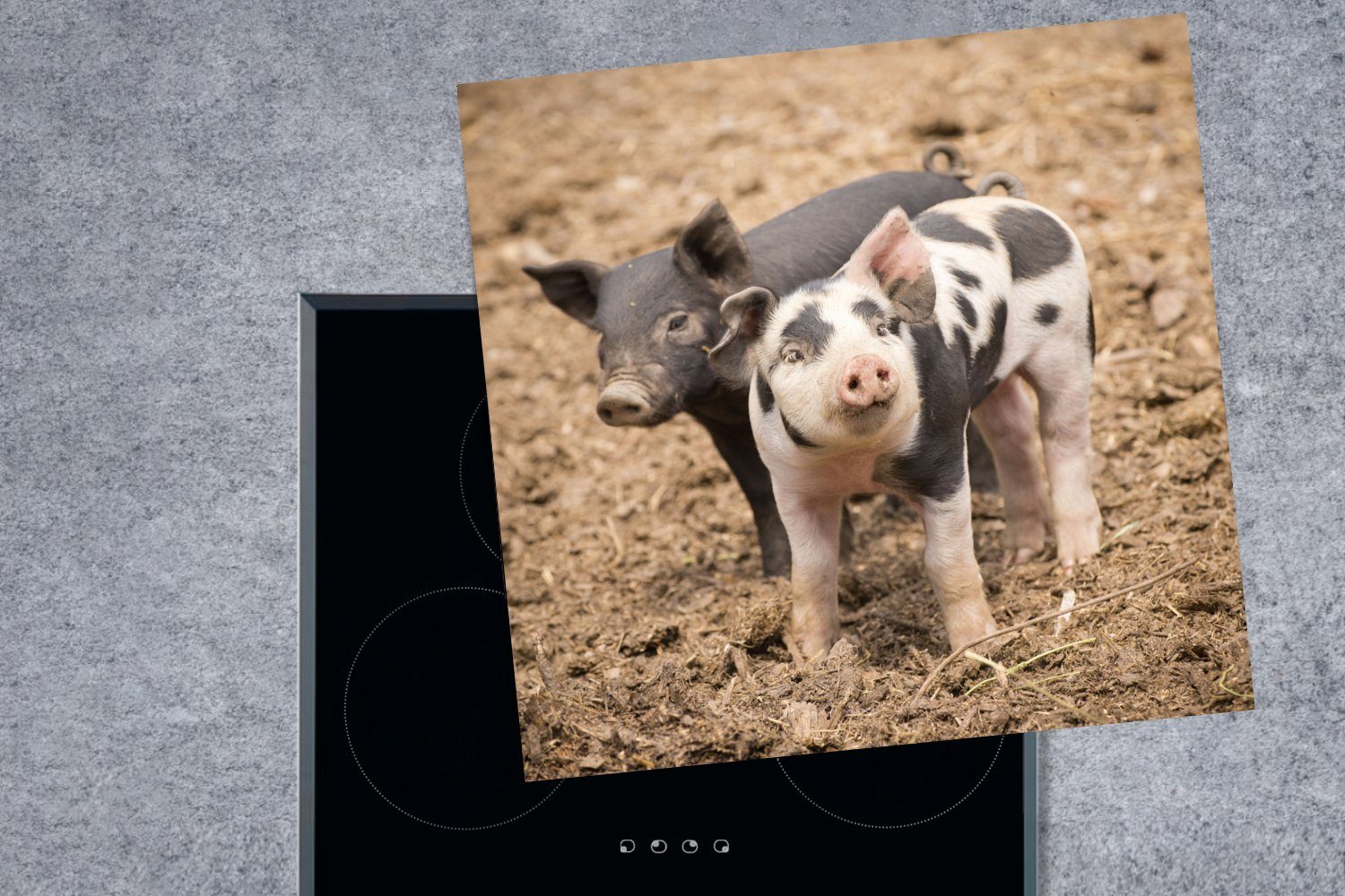 Schwein MuchoWow Tiere Ceranfeldabdeckung, (1 Bauernhof, cm, 78x78 tlg), - Vinyl, Arbeitsplatte - küche Herdblende-/Abdeckplatte für