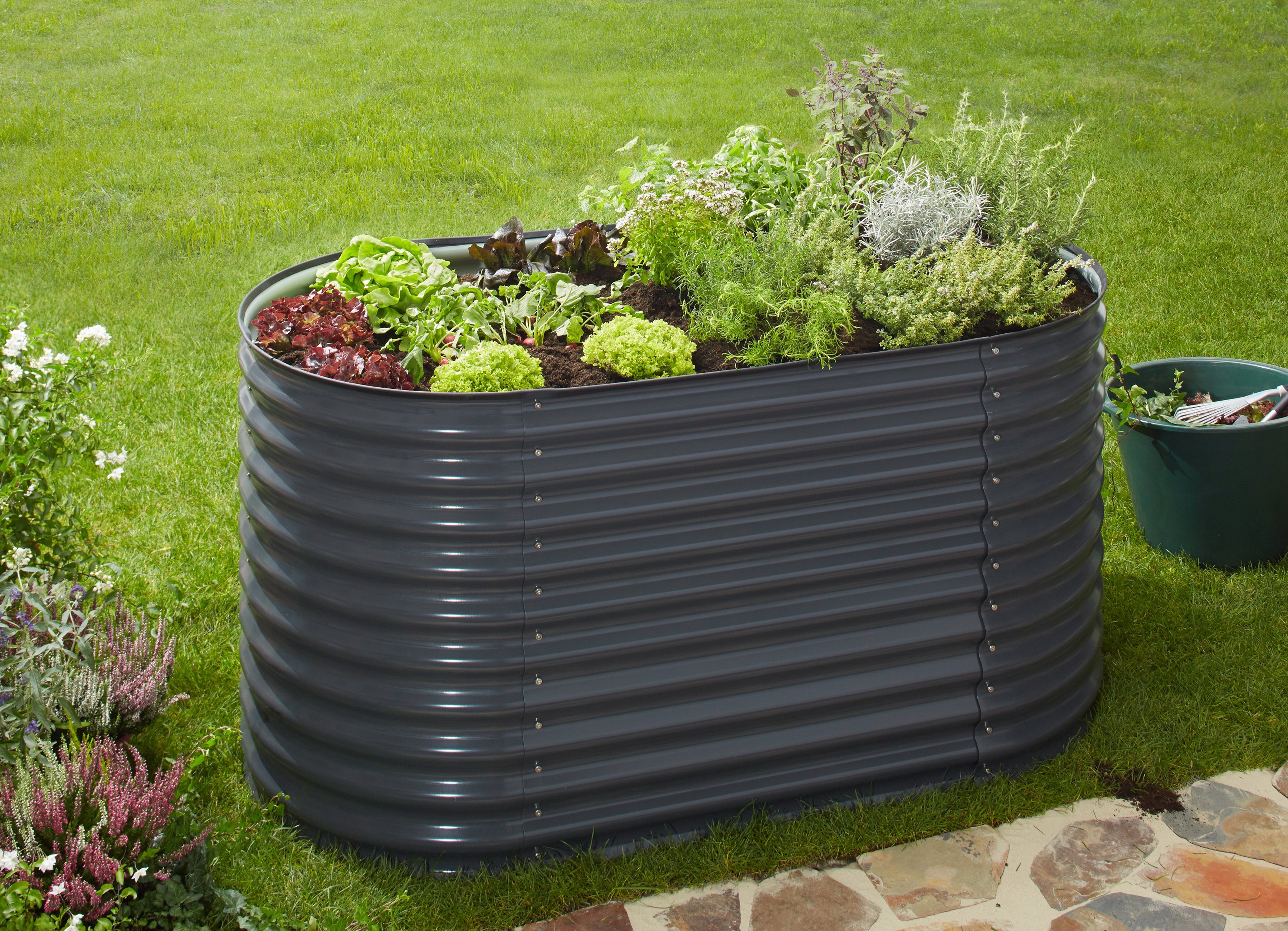 KONIFERA Hochbeet , BxTxH 160x80x82 cm kaufen OTTO