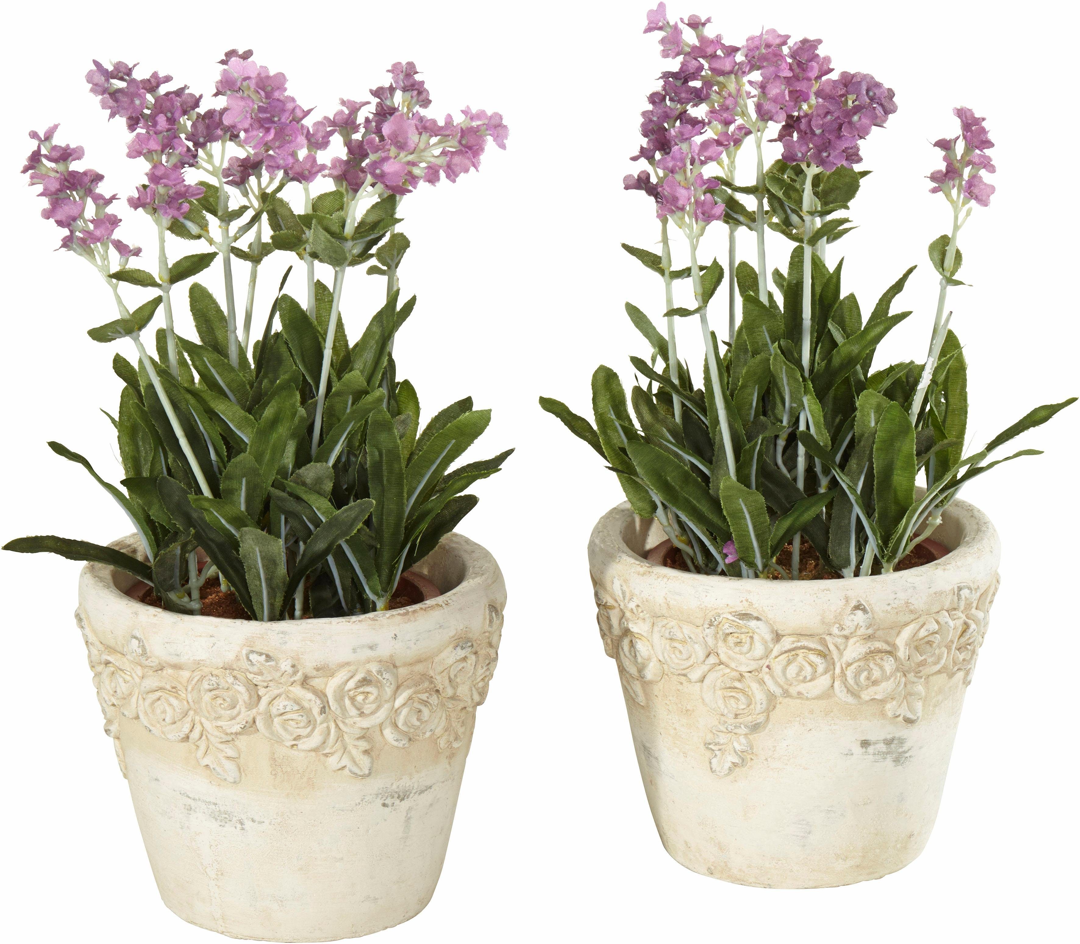 Kunstpflanze »Lavendel in Topf« (2er Set) kaufen OTTO