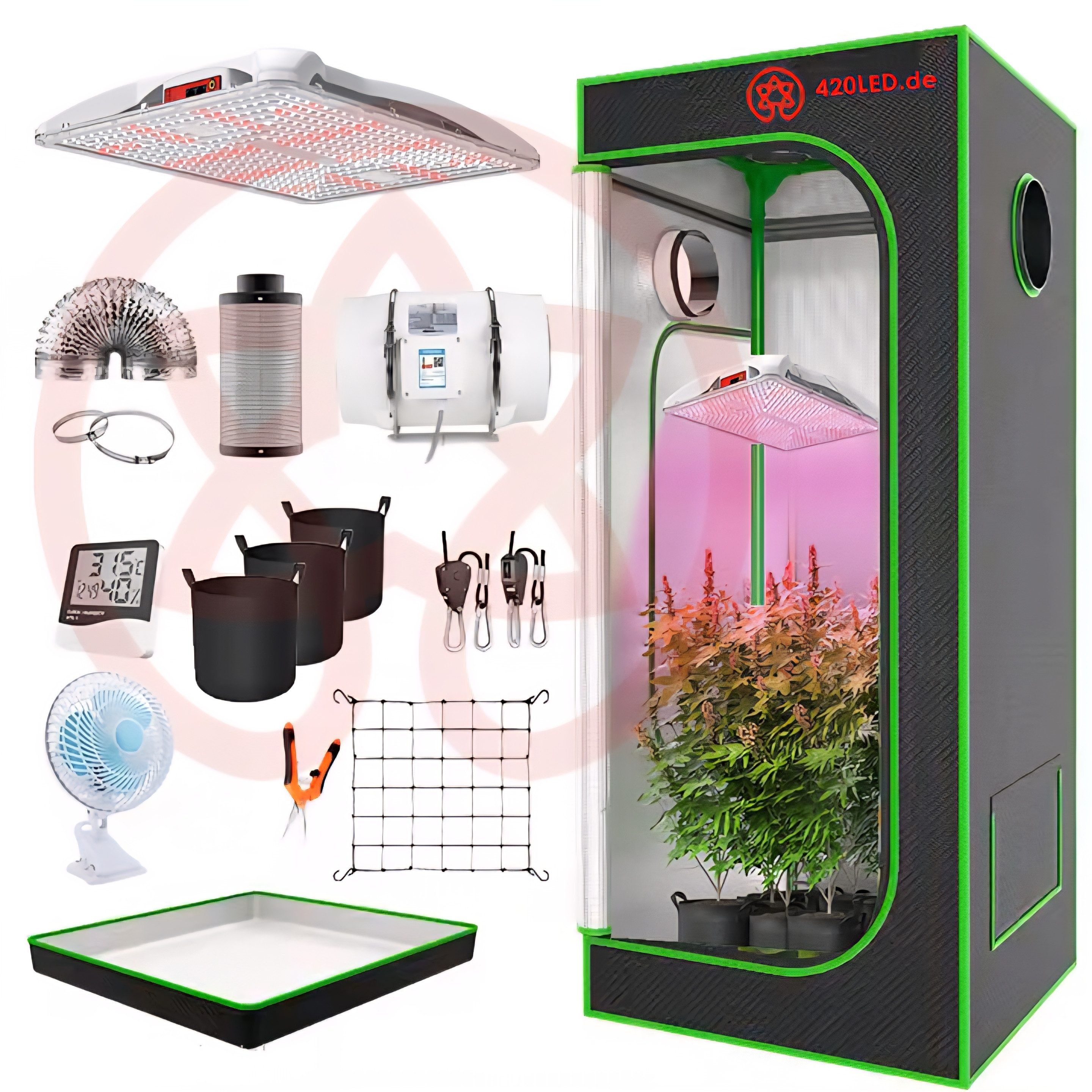 TEUTO Licht Gewächshaus 420LED® TIPI Growset 80x80x180cm, 200 Watt CISSY, G günstig online kaufen