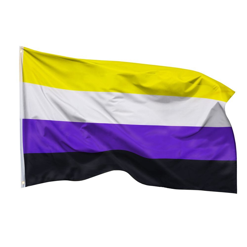 Flagge Nichtbinär Flagge 90 x 150 cm Nicht Binär Fahne LGBT