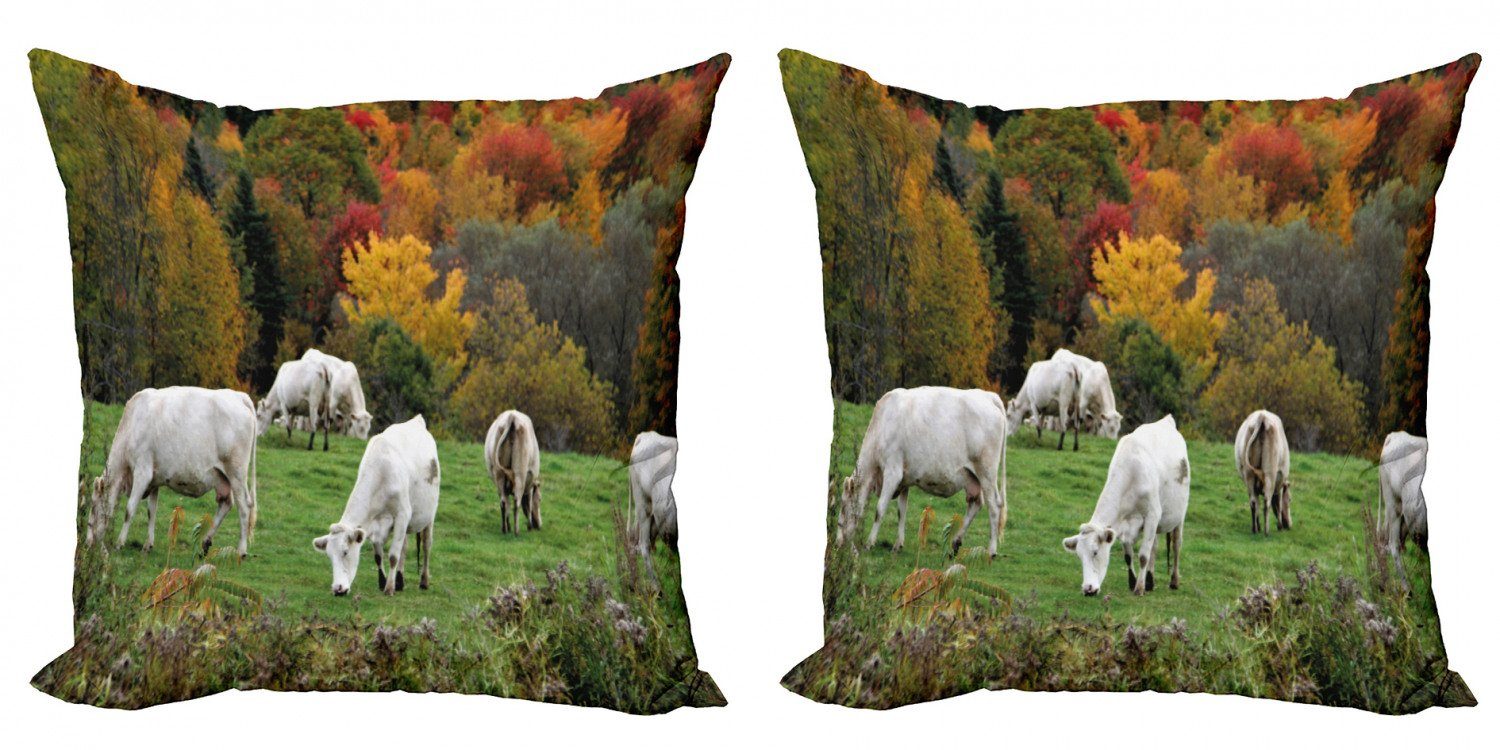 Herbst Abakuhaus Kühe (2 Kissenbezüge Digitaldruck, Hill auf Modern Bauernhoftier Stück), Accent Doppelseitiger