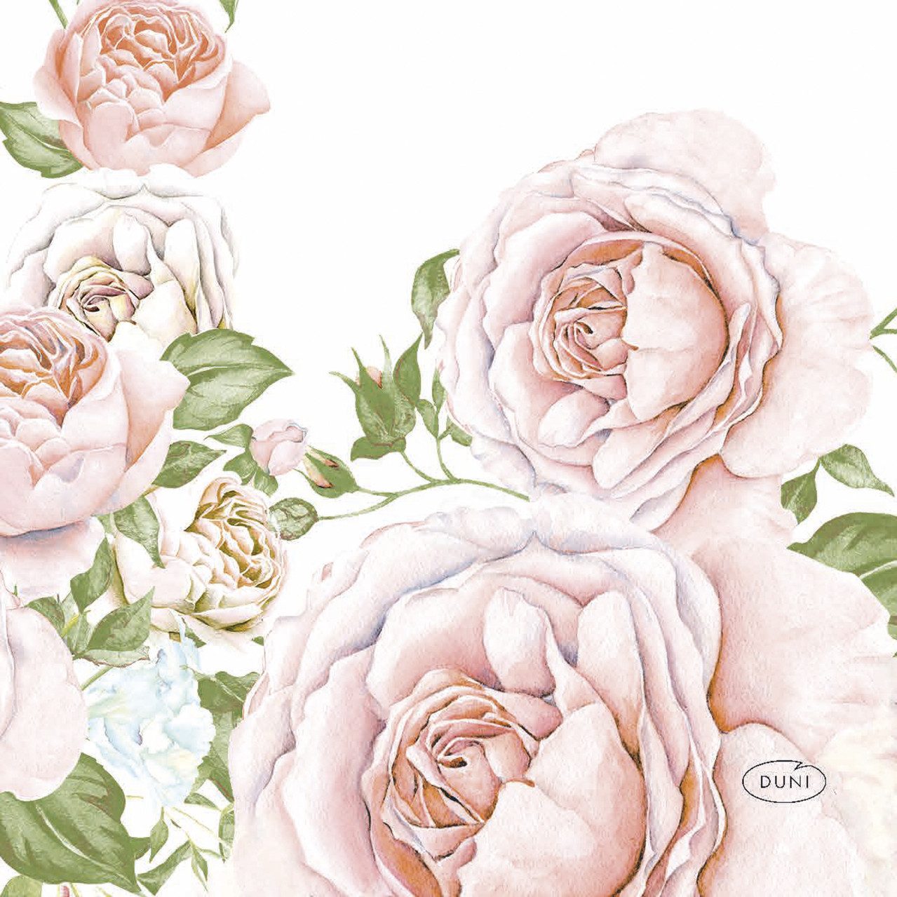 Duni Papierserviette Duni Servietten Bio Rose Glory 24 x 24 cm - 20er