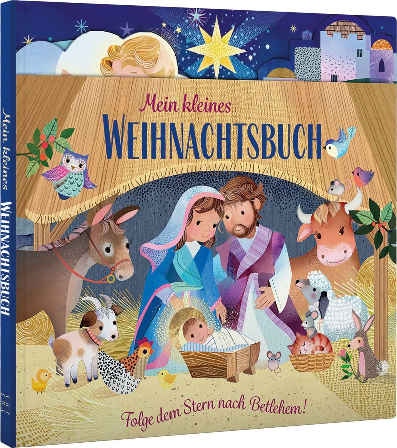 Mein kleines Weihnachtsbuch / diverse