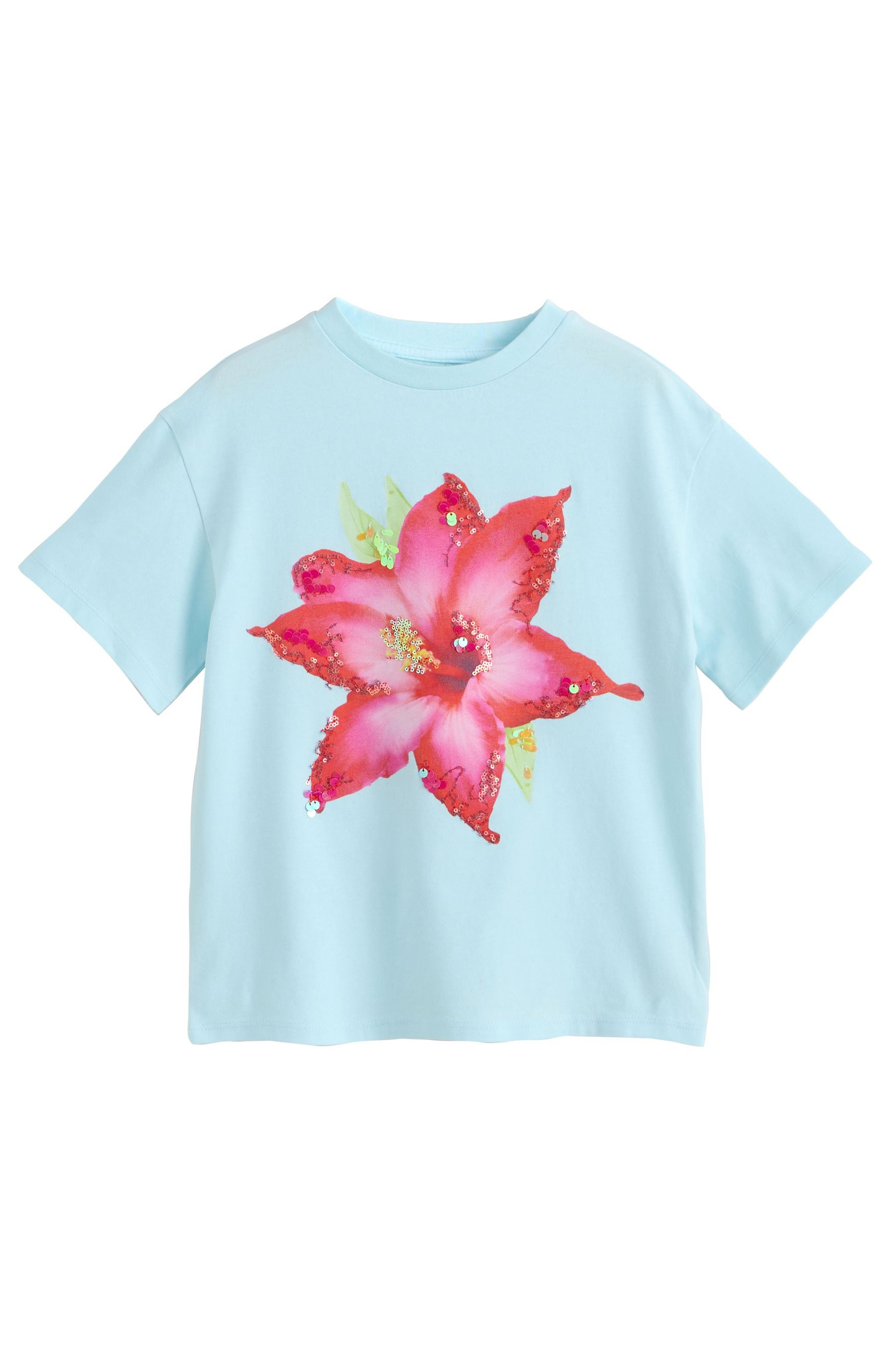 Paillettenshirt Oversized Fit T-Shirt mit Pailletten und Grafik