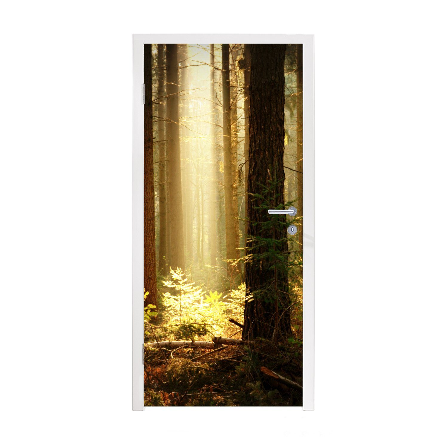 MuchoWow Türtapete Wald - Bäume - Sonne, Matt, bedruckt, (1 St), Fototapete für Tür, Türaufkleber, 75x205 cm
