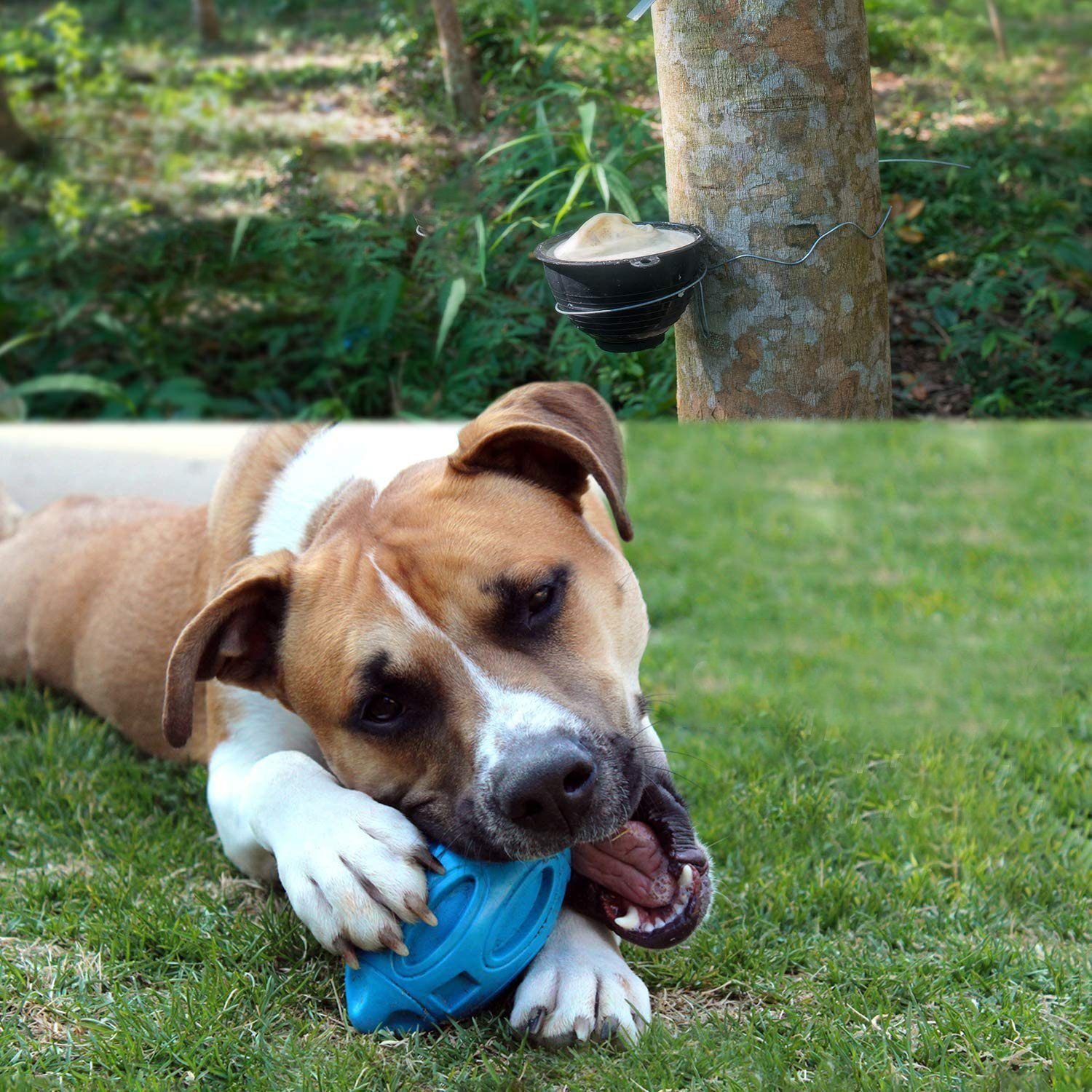 TUABUR Tierball Hundespielzeug, Gummi Welpen Ball, (1-tlg) kauen