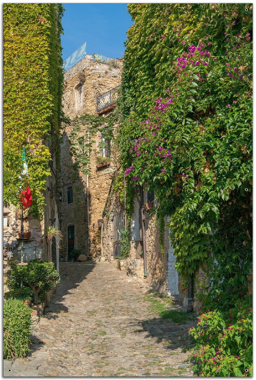 Wallario Sichtschutzzaunmatten Verwunschene Gasse im Grünen