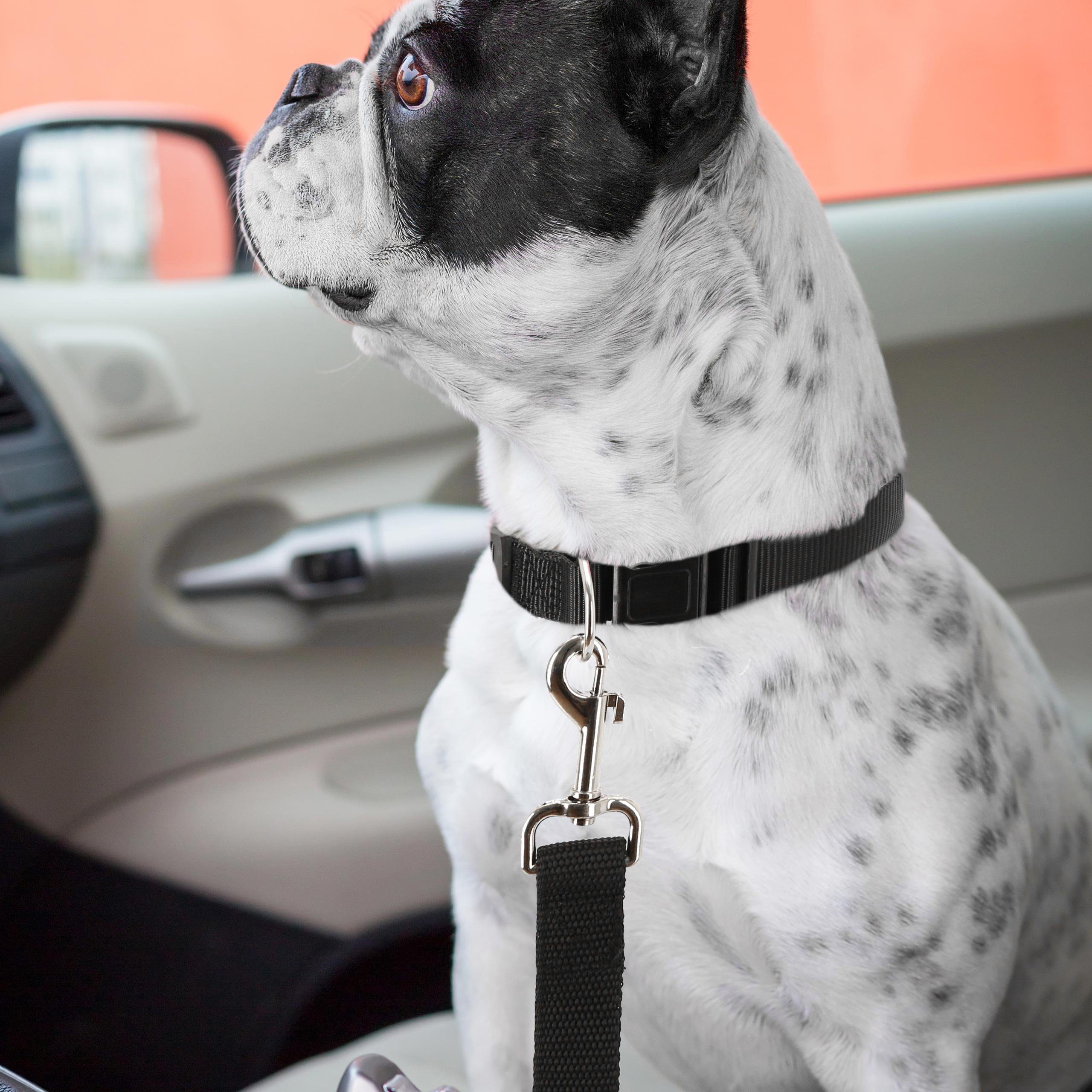 Lantelme Autohundegeschirr Auto Hundegurt Auswahl Länge Farbe Sicherheitsgurt Autogurt Adapter, Hunde Tier Gurtadapter 4,5cm Breit 60 bis 95cm Lang Tiertransport