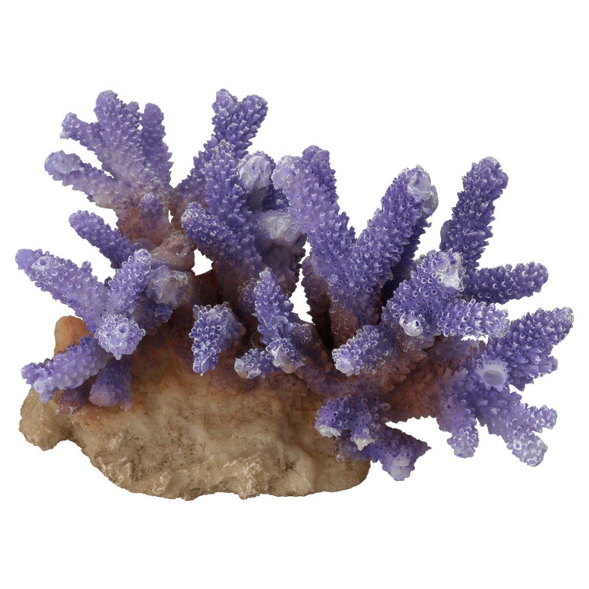 Aquariendeko Aquariumdekoration Koralle Acropora violett