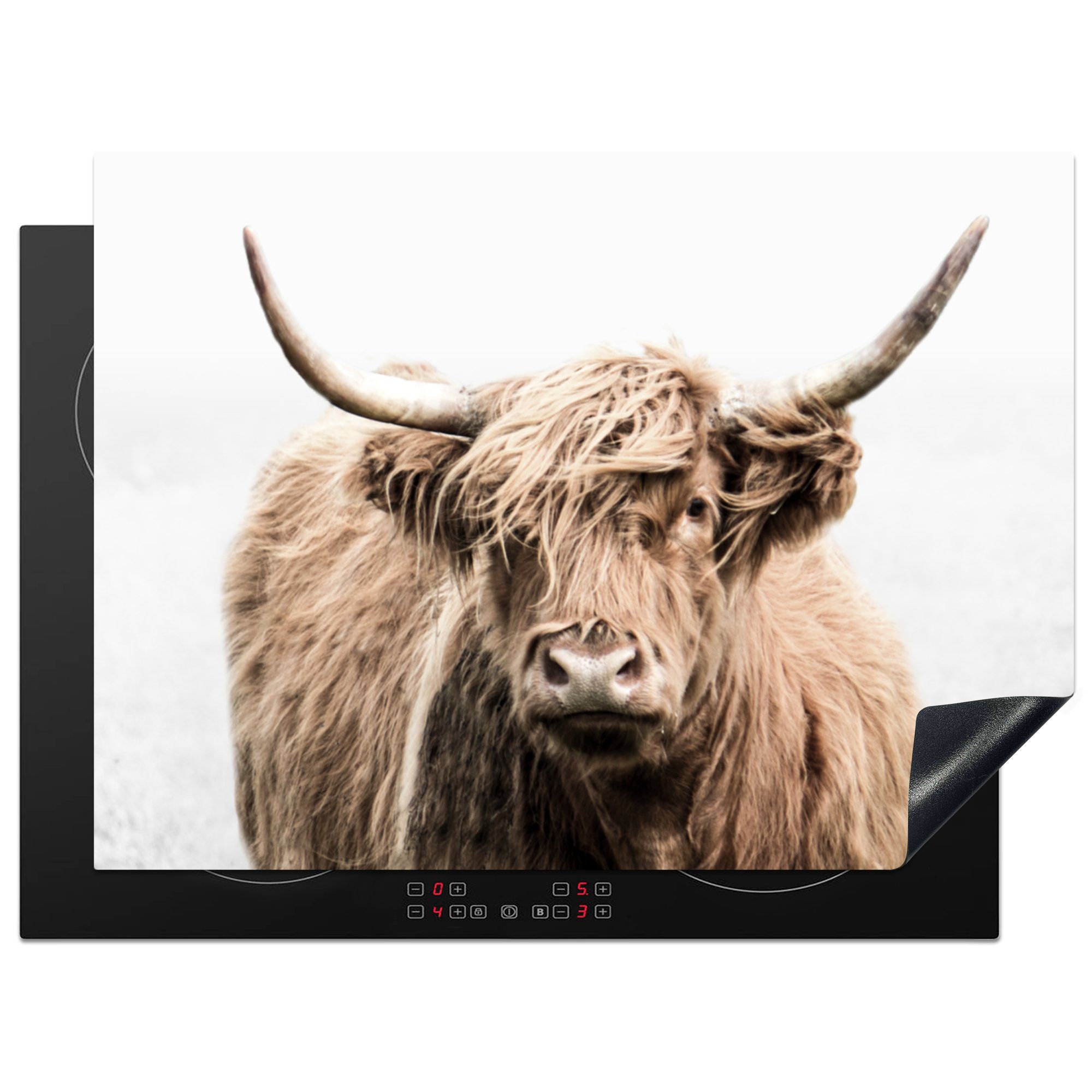 MuchoWow Herdblende-/Abdeckplatte Schottischer Highlander - Tiere - Fell, Vinyl, (1 tlg), 71x52 cm, Induktionskochfeld Schutz für die küche, Ceranfeldabdeckung