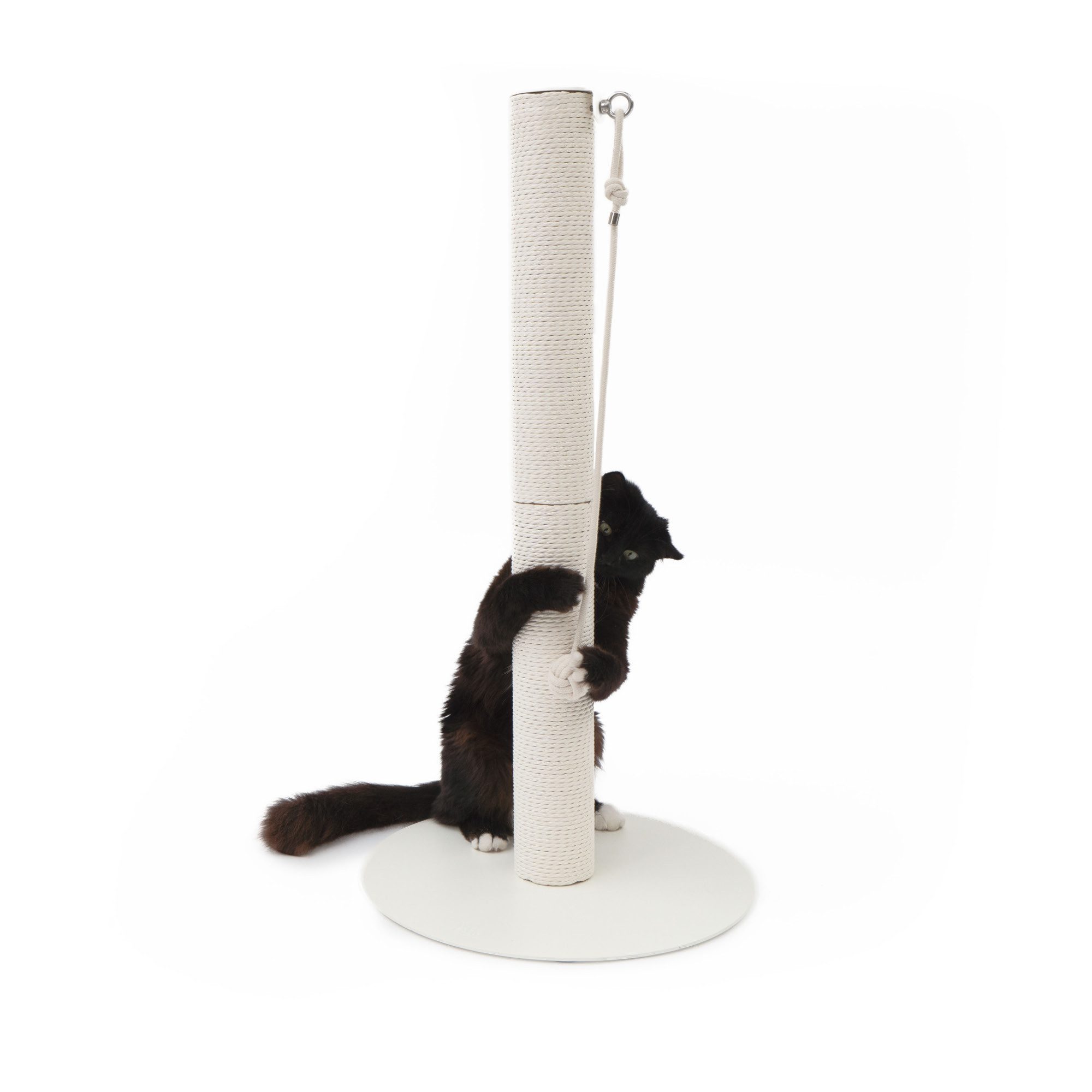 LucyBalu Kratzsäule PAPERPOLE freistehende Katzen Kratzsäule, Kratzstamm mit Spielball, Kratzbaum mit Papierseil, stabiler Kratzturm für alle Katzenrassen