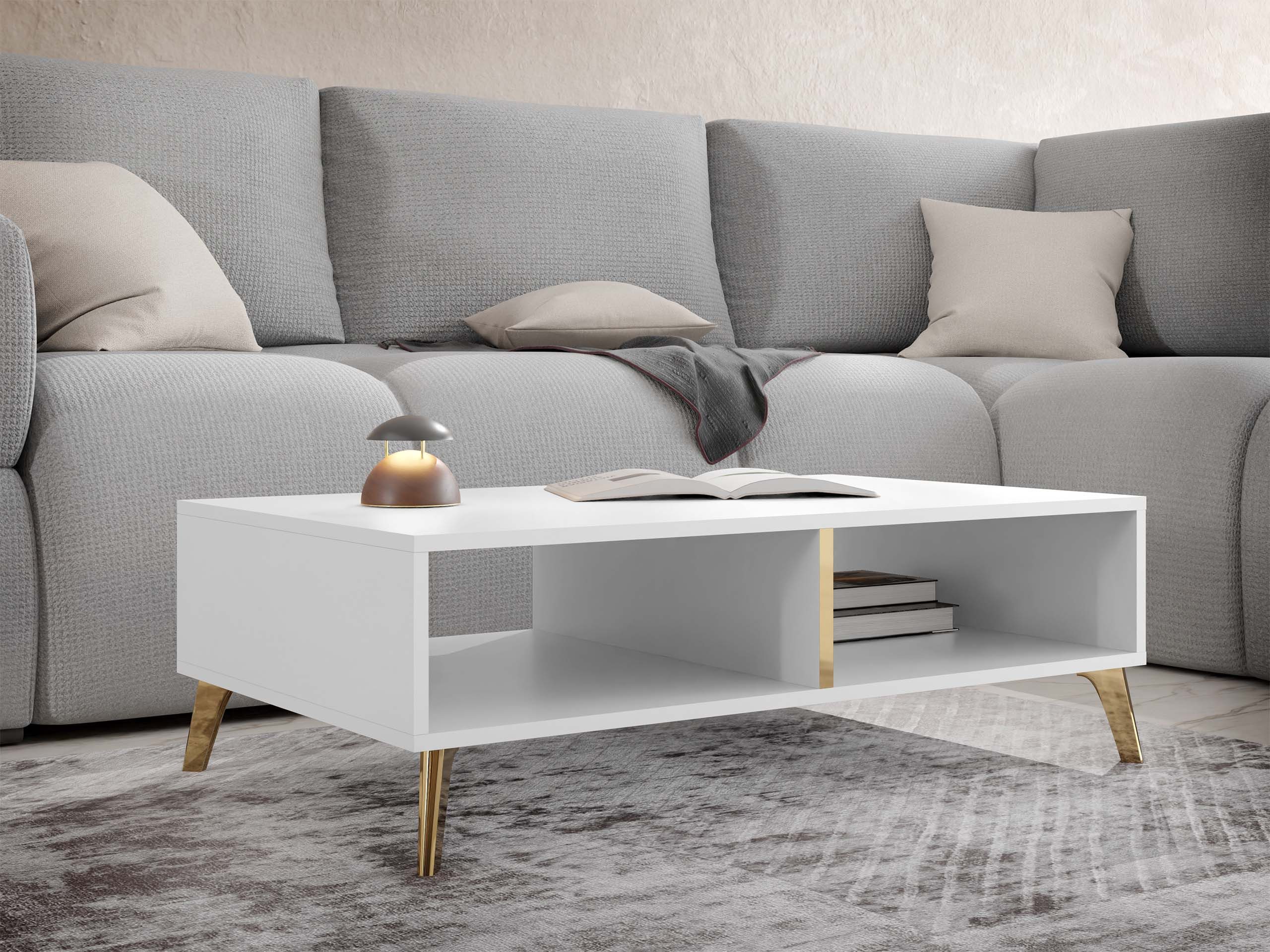 MIRJAN24 Couchtisch Picru (mit Einlegeboden), 100x60x32 günstig online kaufen