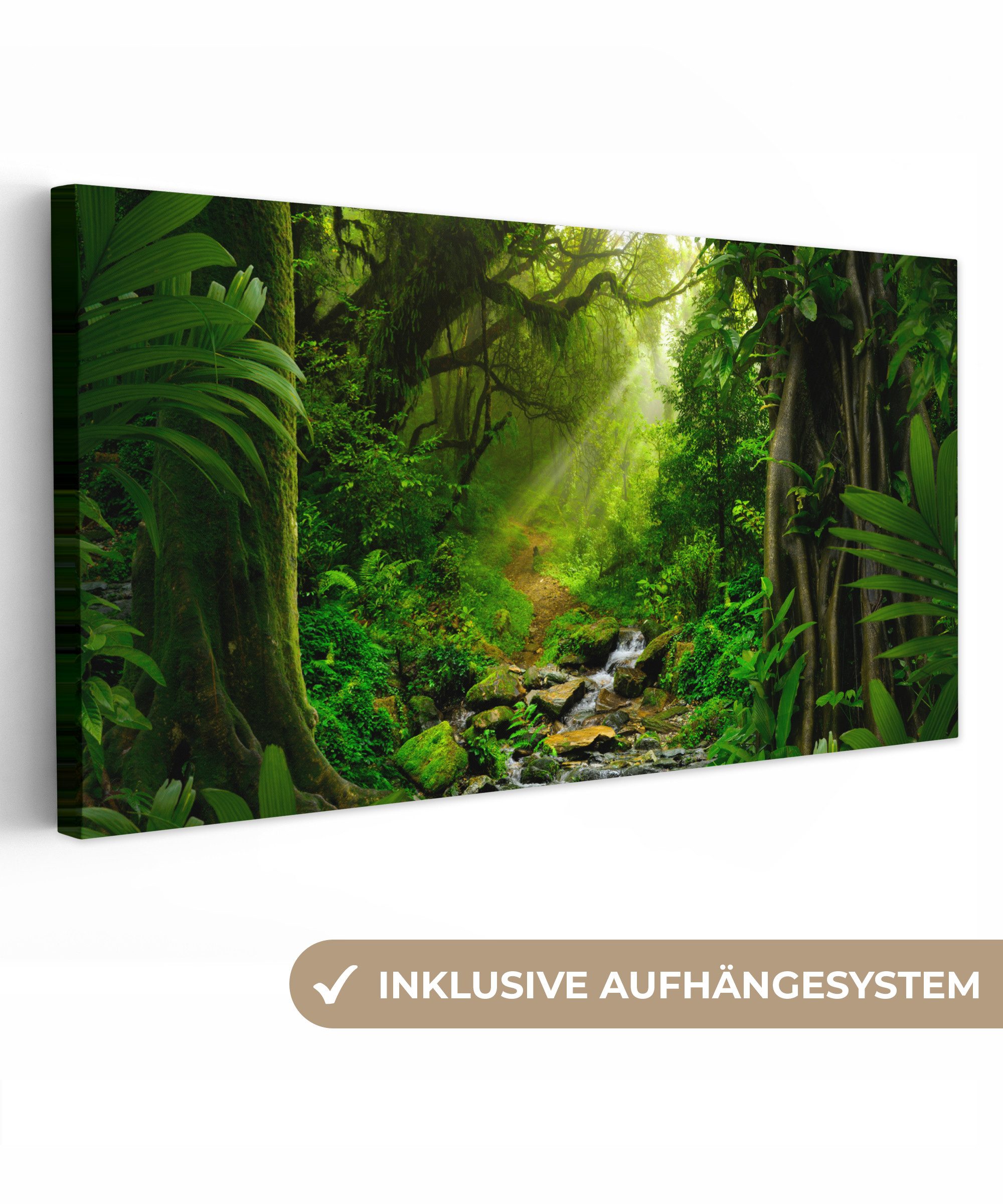 OneMillionCanvasses® Leinwandbild Panorama Dschungel - Wasser günstig online kaufen
