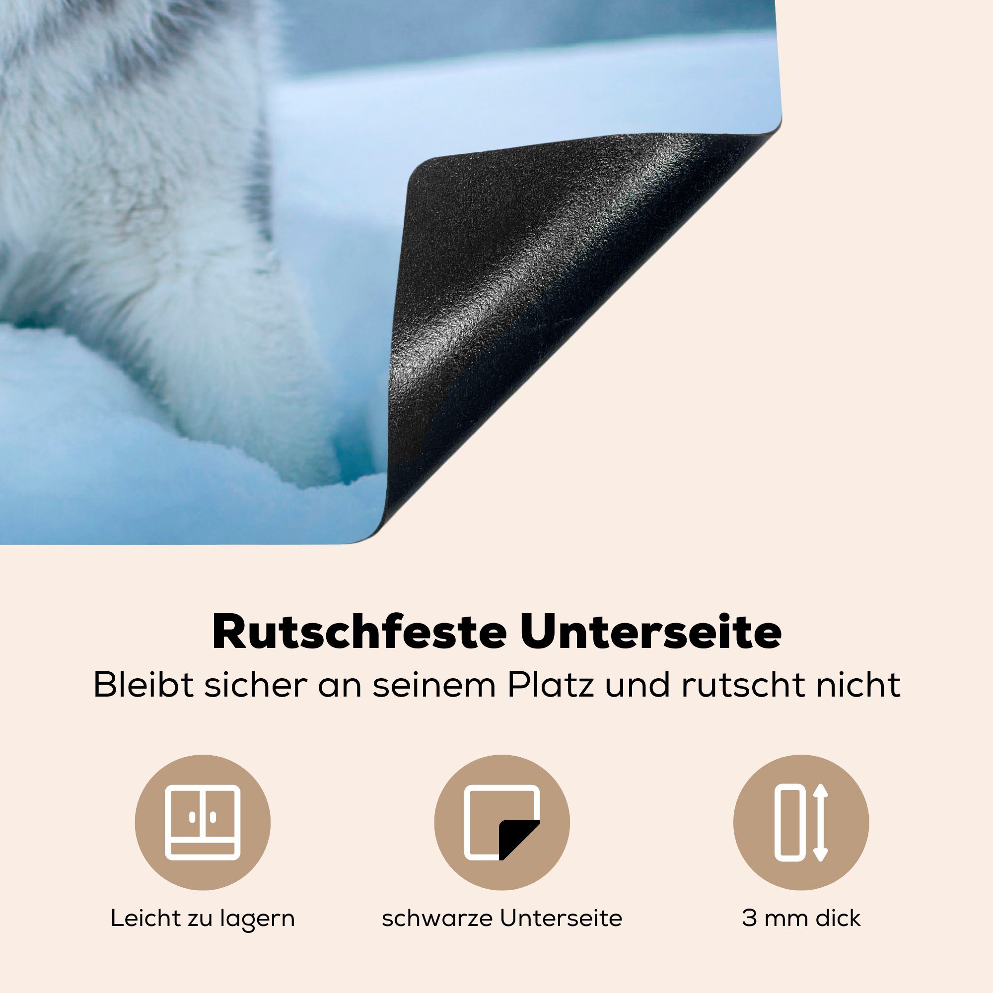 - küche, die Husky - Natur, MuchoWow Vinyl, (1 Herdblende-/Abdeckplatte für Schutz tlg), cm, 81x52 Schnee Ceranfeldabdeckung Induktionskochfeld