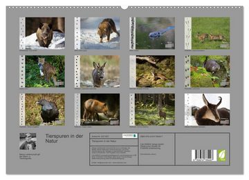 CALVENDO Wandkalender Tierspuren in der Natur (Premium, hochwertiger DIN A2 Wandkalender 2023, Kunstdruck in Hochglanz)