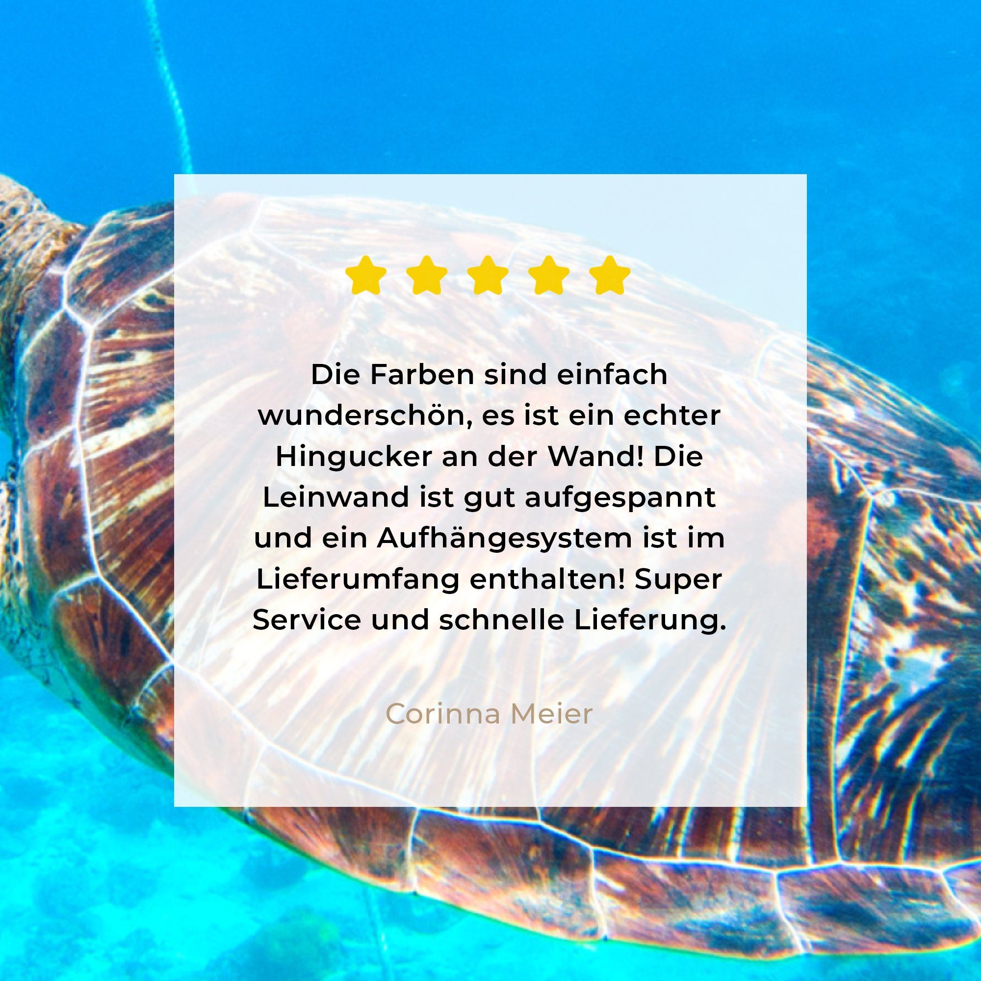 Wasser, Schlafzimmer, OneMillionCanvasses® Leinwand für Schildkröte Meer Leinwandbild St), cm Bilder - (1 - 20x20 Wohnzimmer