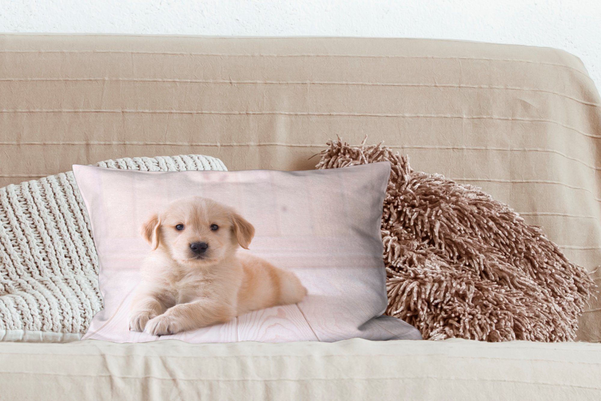 Dekoration, Wohzimmer Golden Zierkissen, MuchoWow Füllung, Dekokissen Retriever Weißer Welpe, Schlafzimmer Dekokissen mit