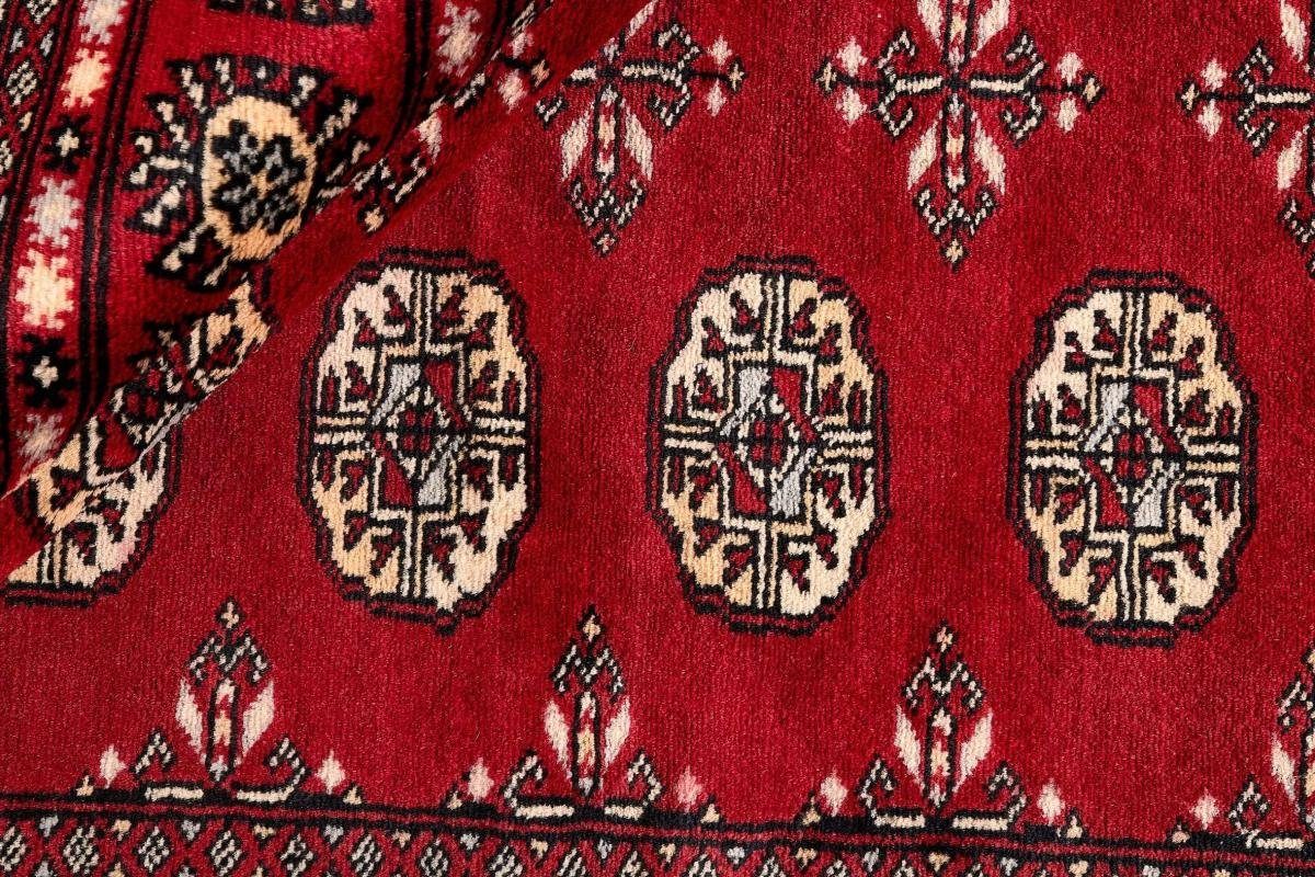 Orientteppich Pakistan Buchara Orientteppich, Trading, Höhe: Nain rechteckig, Handgeknüpfter 2ply 141x210 8 mm