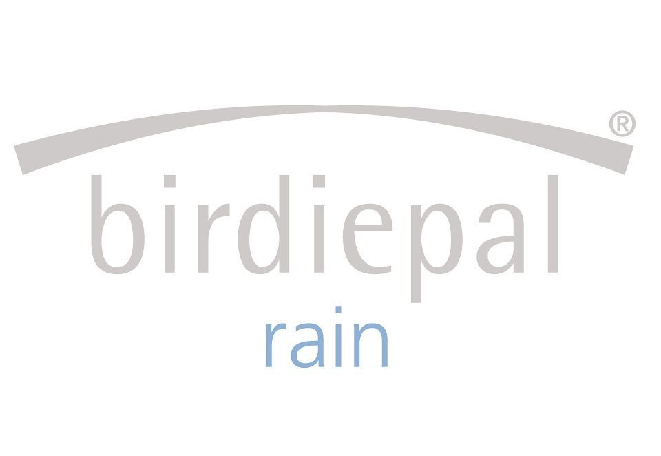 rain, mit Stockregenschirm EuroSCHIRM® blau birdiepal® Dach extra großem