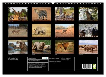 CALVENDO Wandkalender Afrikas wilde Schönheiten (Premium, hochwertiger DIN A2 Wandkalender 2023, Kunstdruck in Hochglanz)