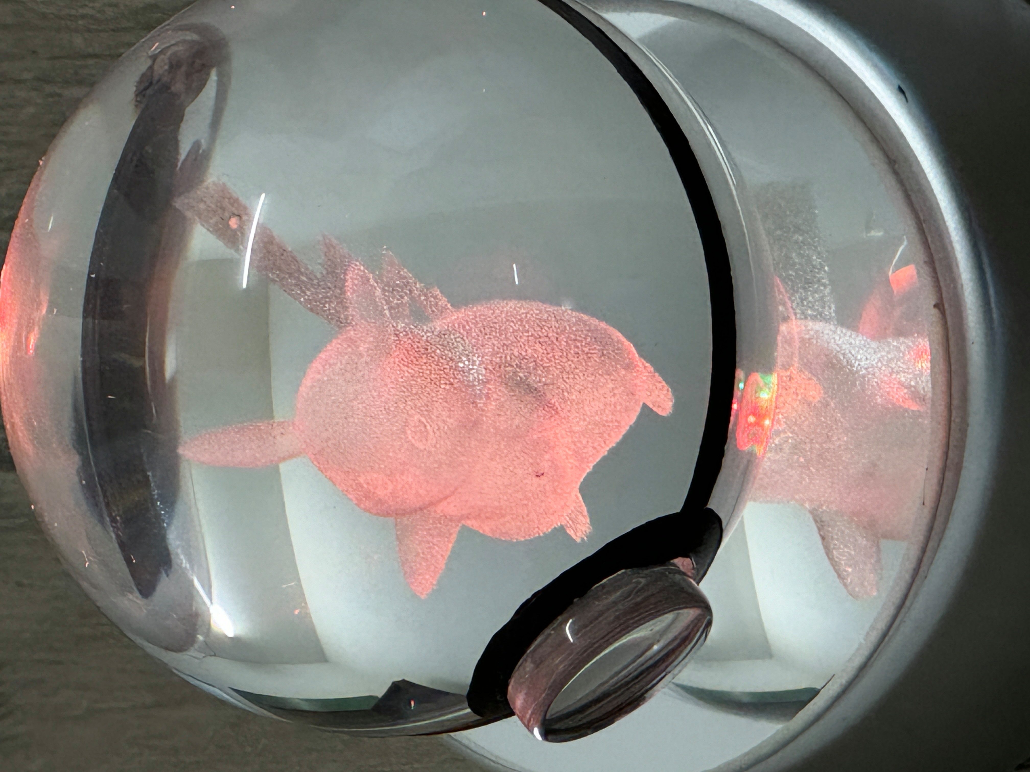 Stelby LED Nachtlicht Pikachu Glaskugellampe 3D Laser-Gravur LED, LED wechselbar, Faszinierender LED-Wechsel, hochwertige 3D-Innengravur