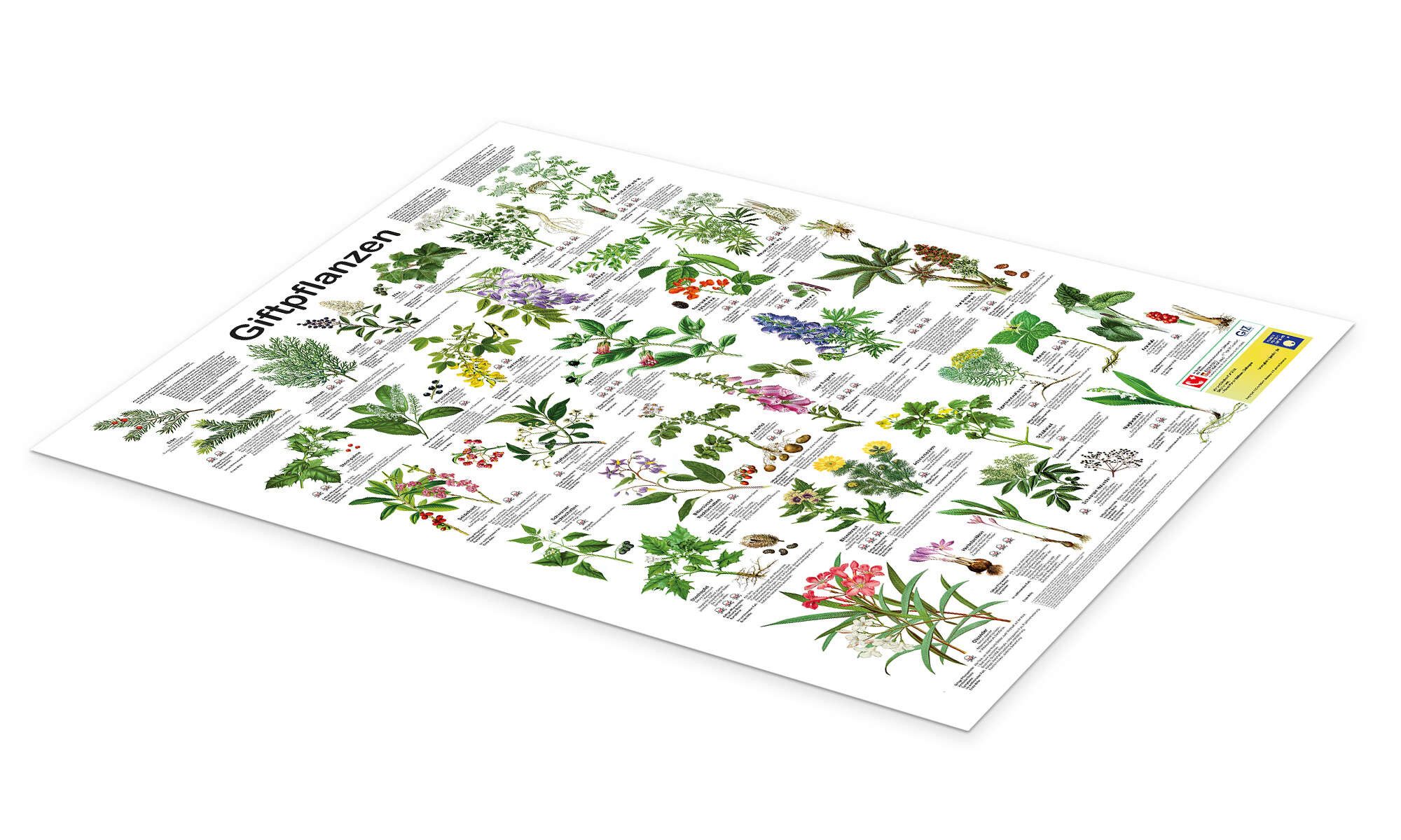 Posterlounge Poster Planet Poster Editions, Giftpflanzen, günstig online kaufen