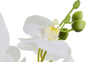 Kunstorchidee Voguish Orchidee, Guido Maria Kretschmer Home&Living, Höhe 39 cm, Kunstpflanze, im Topf aus Keramik