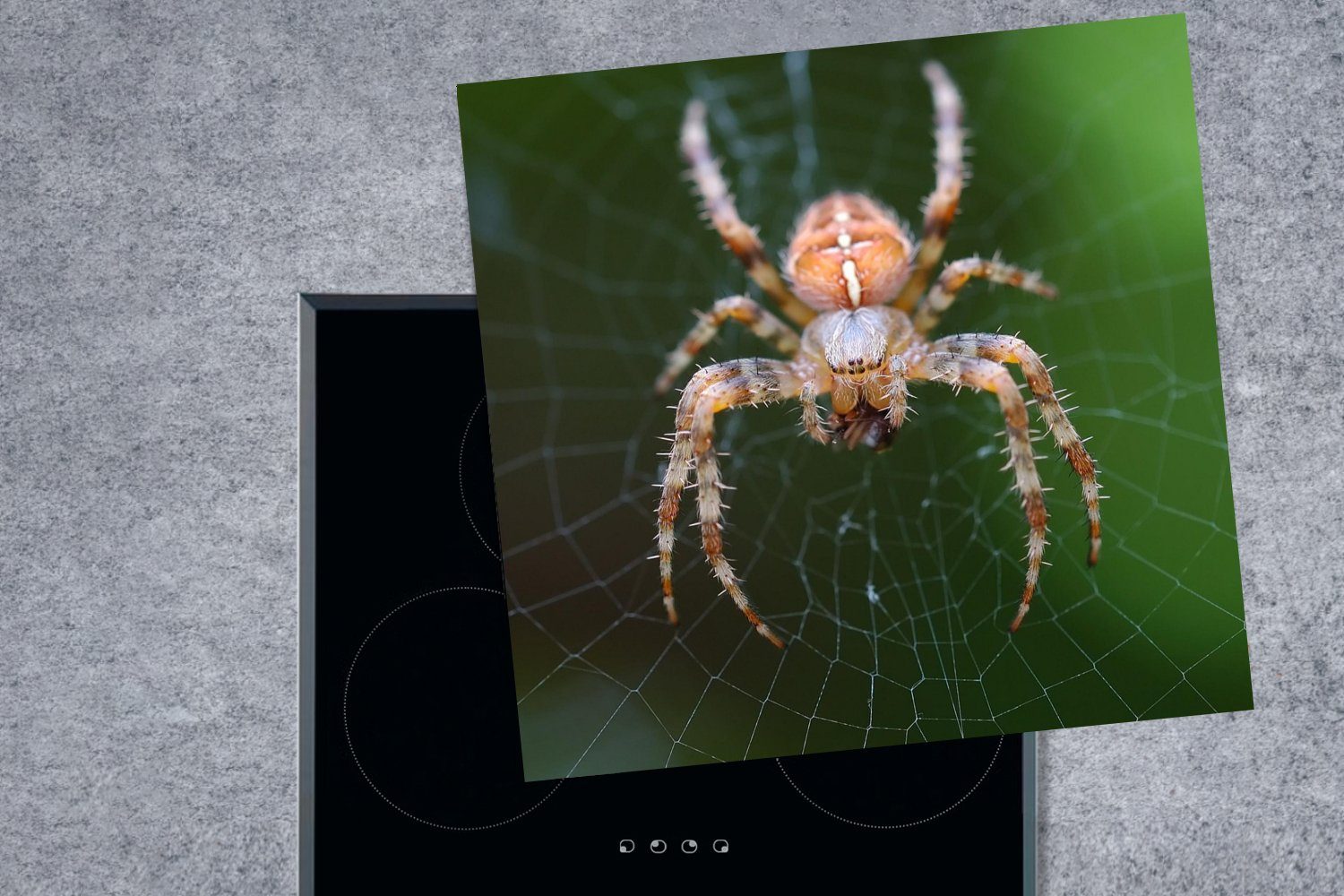 MuchoWow Herdblende-/Abdeckplatte Porträt einer Spinne, Arbeitsplatte 78x78 Ceranfeldabdeckung, küche cm, tlg), für Vinyl, (1