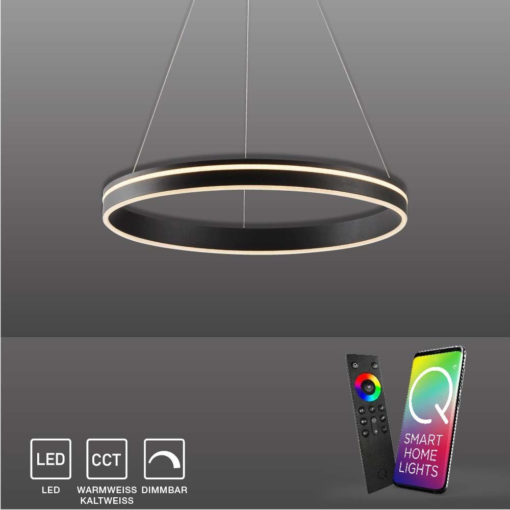 Paul Neuhaus Smarte LED-Leuchte LED Pendellampe CCT Q-Vito Ring, Smart Home, RGB+W-Farbregelung, Dimmfunktion, Memoryfunktion, mit Leuchtmittel, Pendelleuchte Ring Works with Alexa, Fernbedienung anthrazit