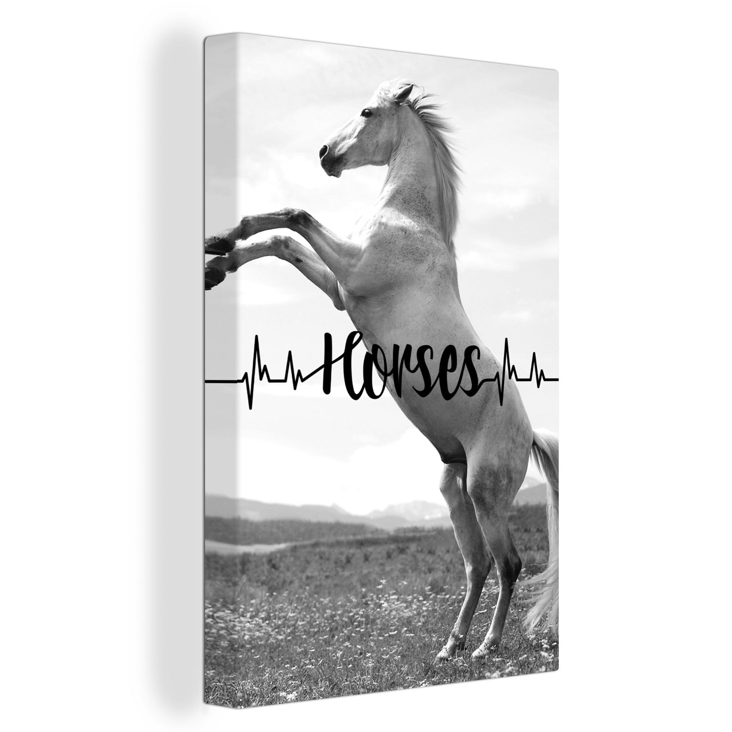 OneMillionCanvasses® Leinwandbild Zitat "Pferde" und ein sich aufbäumendes weißes Pferd - schwarz und, (1 St), Leinwandbild fertig bespannt inkl. Zackenaufhänger, Gemälde, 20x30 cm
