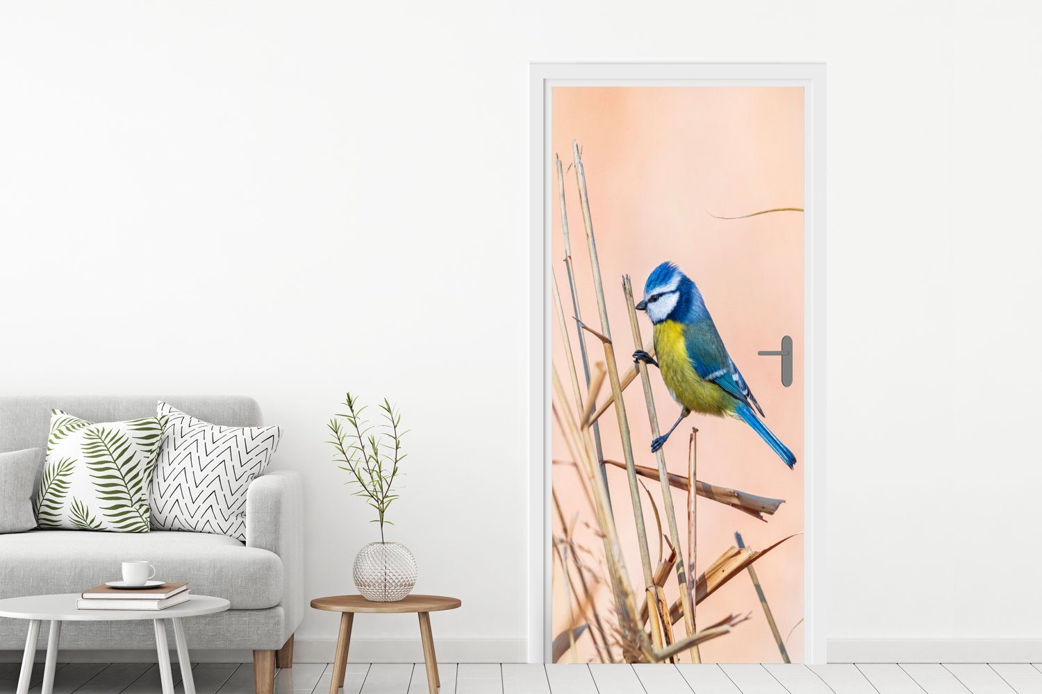 MuchoWow Türtapete Vogel - Blaumeise cm Tür, Fototapete für 75x205 Schilf, - St), (1 Türaufkleber, bedruckt, Matt