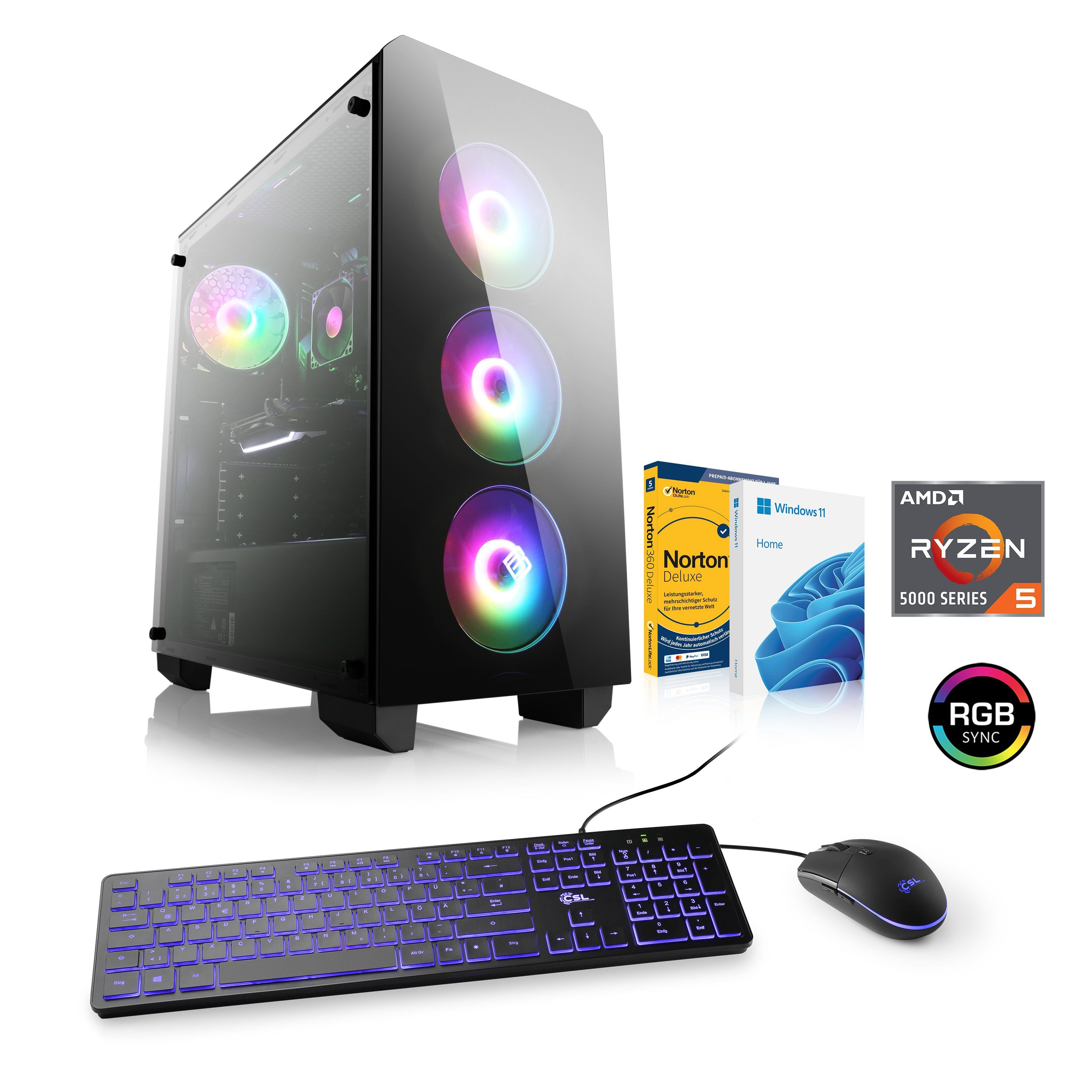 CSL RGB Gaming Edition L8150 Gaming-PC (AMD Ryzen 5 5500, AMD Radeon RX  6600, 16 GB RAM, 1000 GB SSD, Luftkühlung)