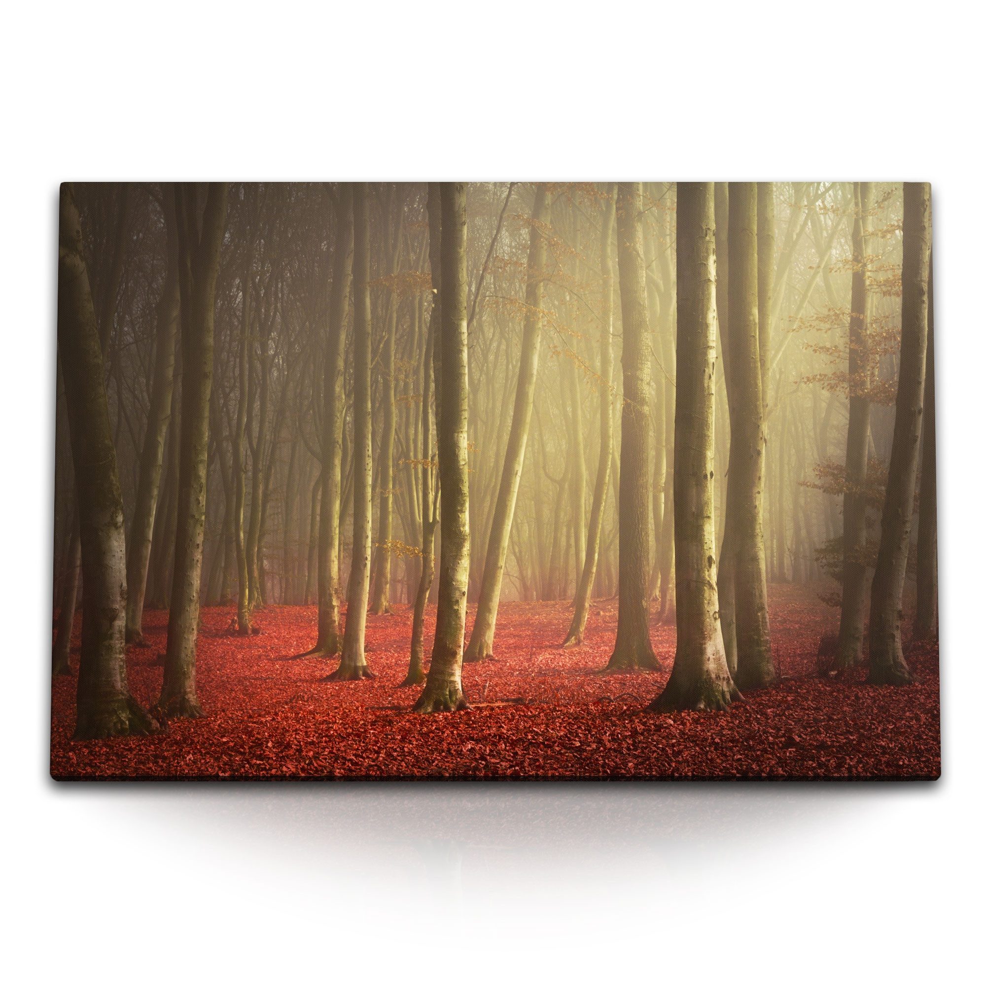 Sinus Art Leinwandbild 120x80cm Wandbild auf Leinwand Wald Bäume Natur Herb günstig online kaufen