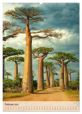 CALVENDO Wandkalender MADAGASKAR: Baobabs, Lemuren, Naturwunder (Premium, hochwertiger DIN A2 Wandkalender 2023, Kunstdruck in Hochglanz)