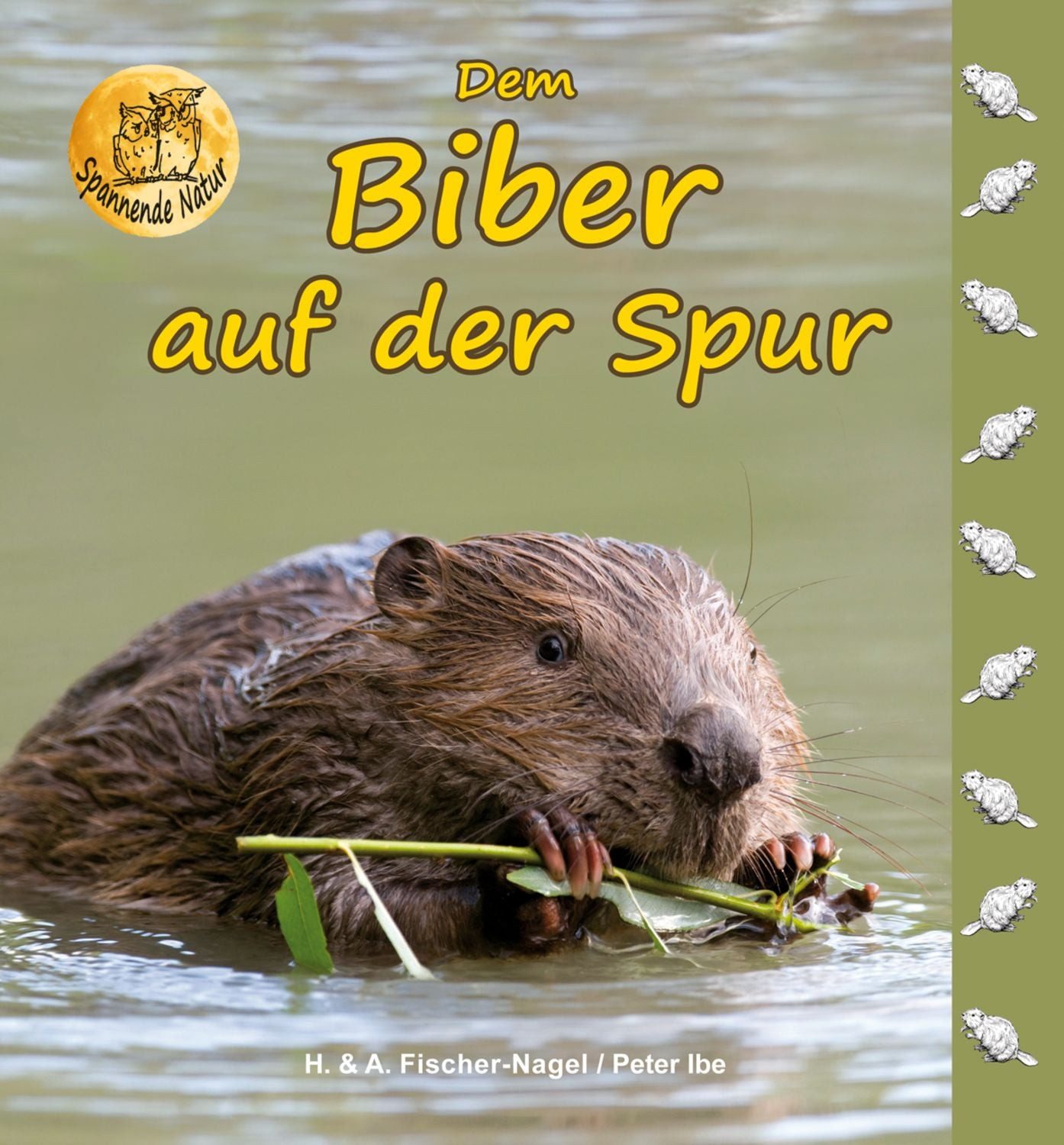 Dem Biber auf der Spur / Heiderose Fischer-Nagel, Andreas Fischer-Nagel, Peter Ibe