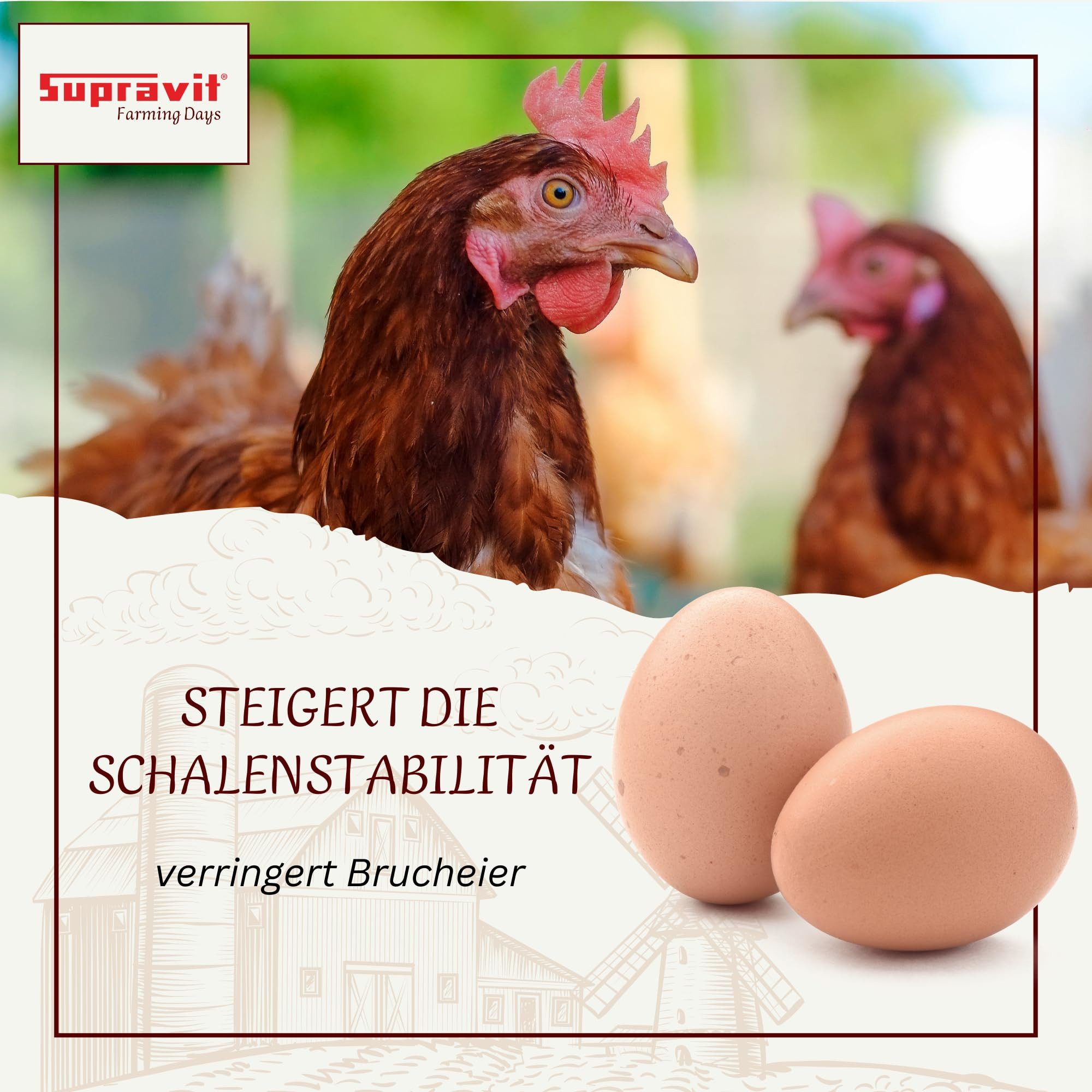 Supravit Kalkgrit für Geflügel - Futterkalk Ergänzungsfutter für Legegeflügel Kalkgrit, Ergänzungsfutter für: Nutz-/ Wildtier