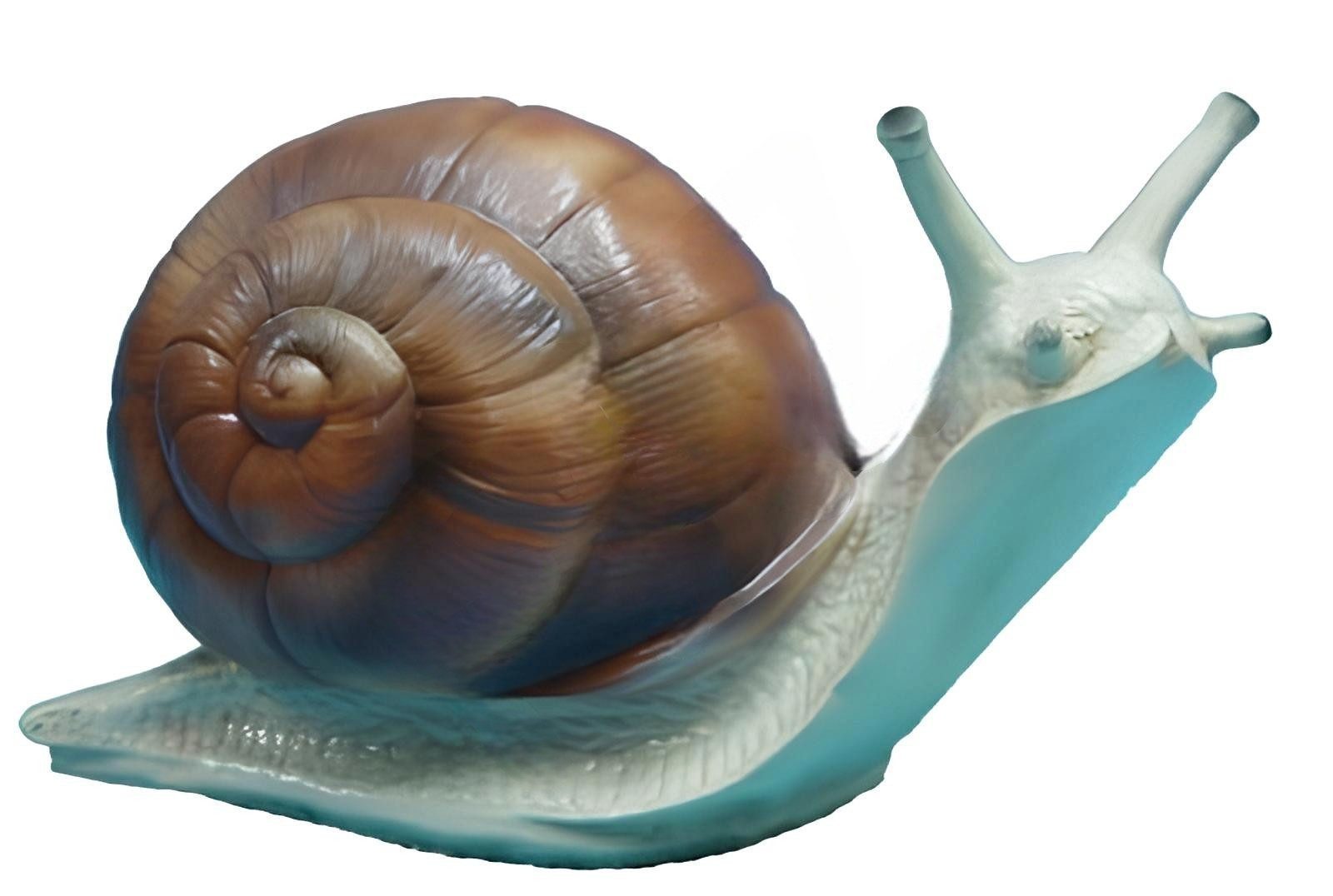 Skulptur Design Schnecke Figur Garten Statue Skulptur Figuren Skulpturen
