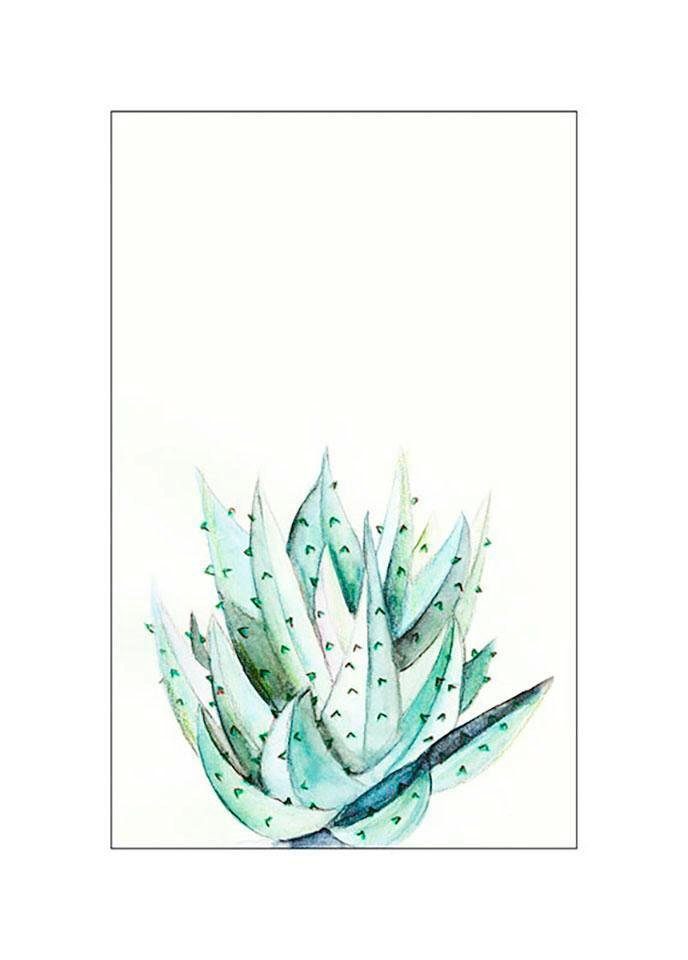 Komar Poster Aloe Watercolor, Blätter, Pflanzen (1 St), Kinderzimmer, Schlafzimmer, Wohnzimmer | Poster